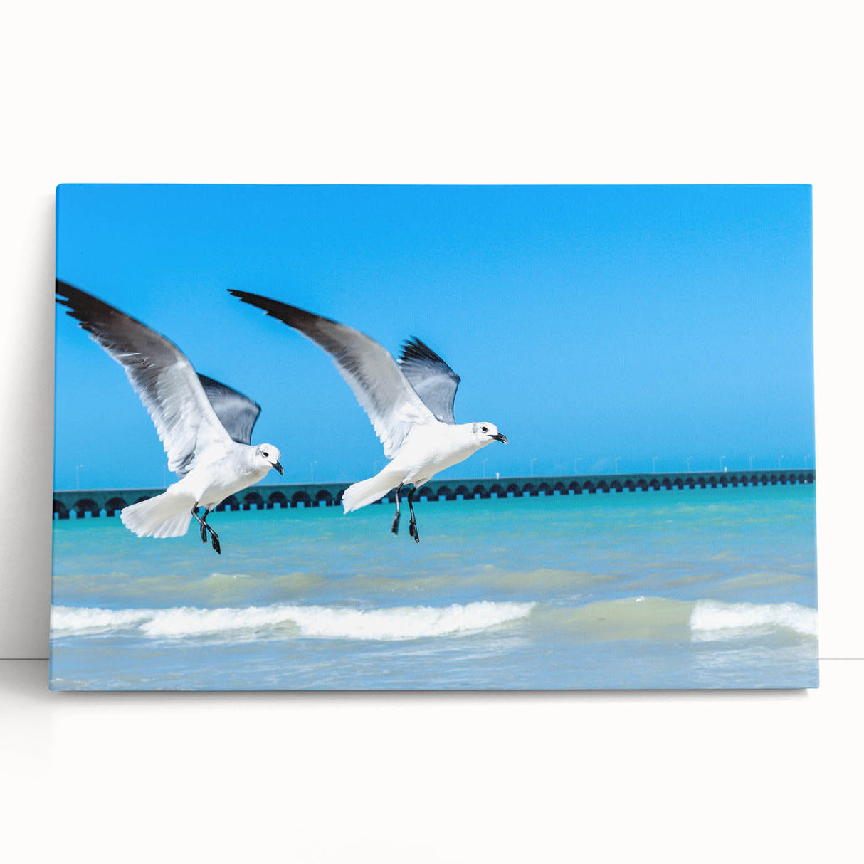 Monochrome photograph of Yucatan scenery on stretched canvas, ideal for kitchen wall art or bedroom decor.