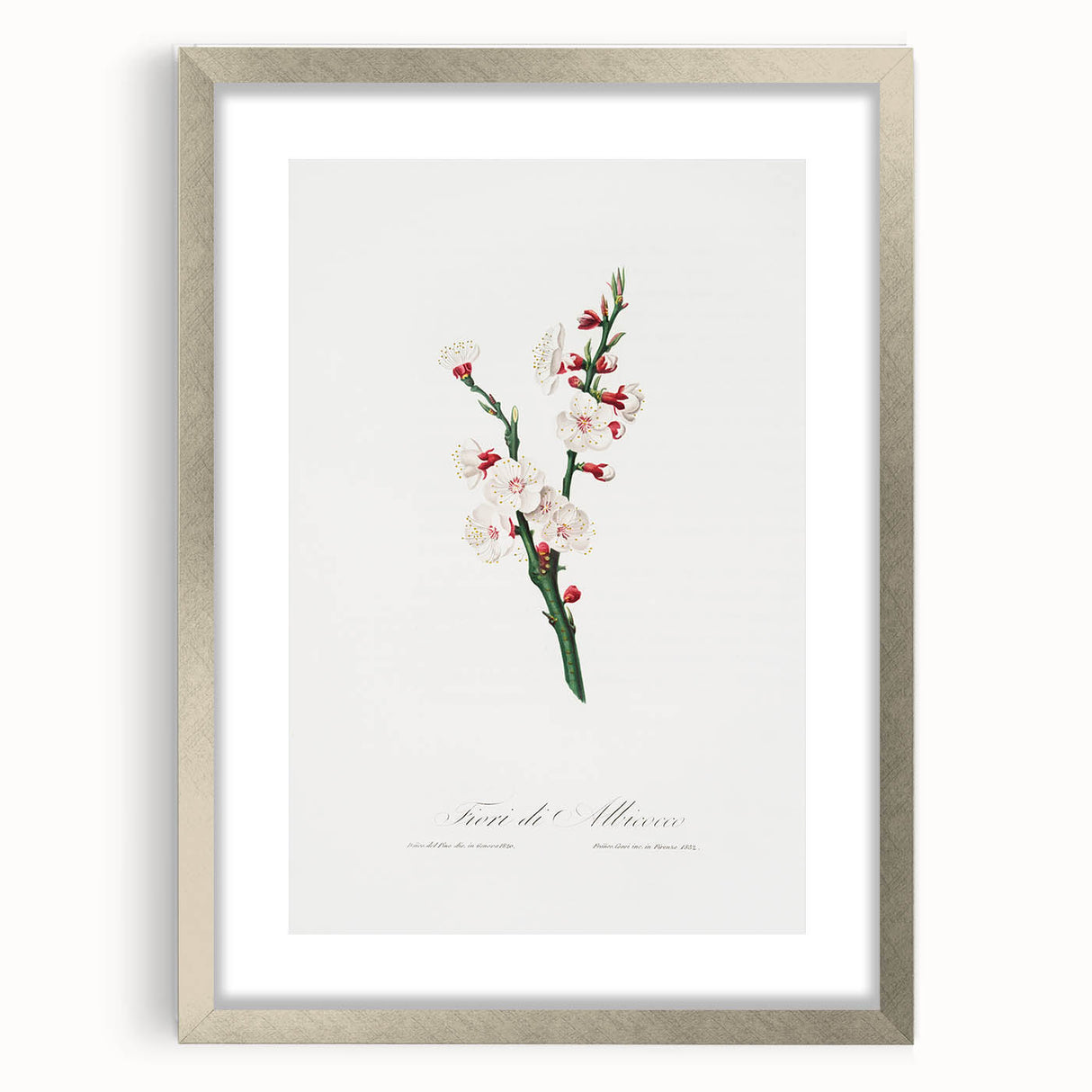 Romanticism Art: Apricot Blossom by Giorgio Gallesio