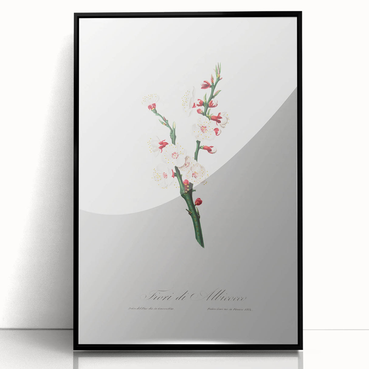 Romanticism Art: Apricot Blossom by Giorgio Gallesio