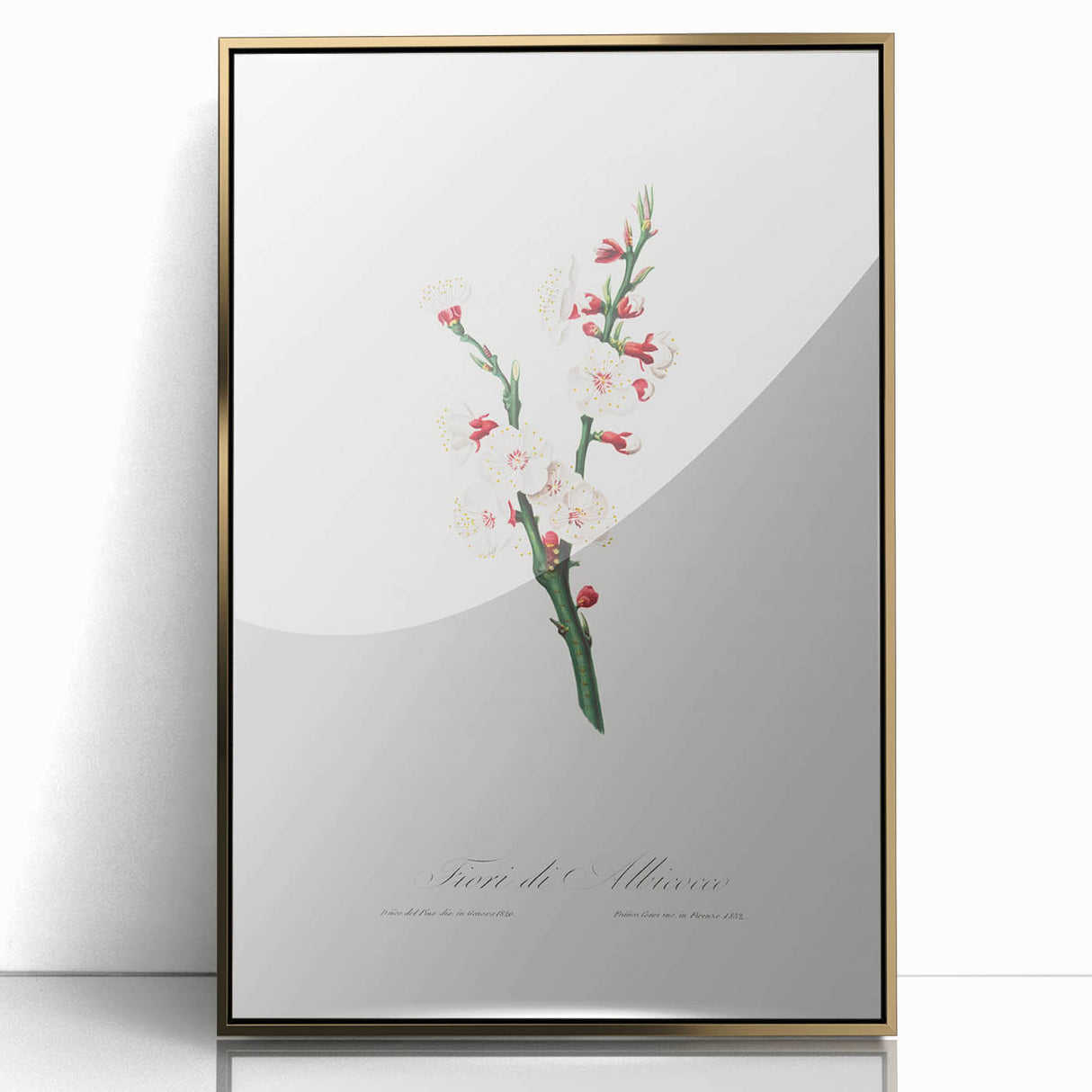 Romanticism Art: Apricot Blossom by Giorgio Gallesio