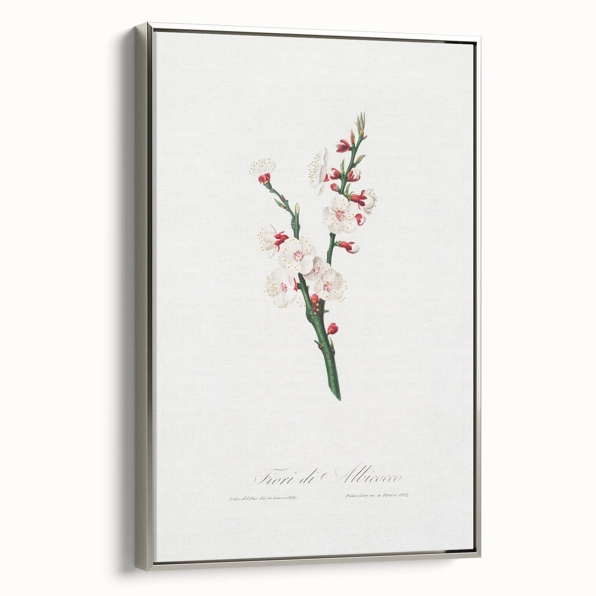 Romanticism Art: Apricot Blossom by Giorgio Gallesio