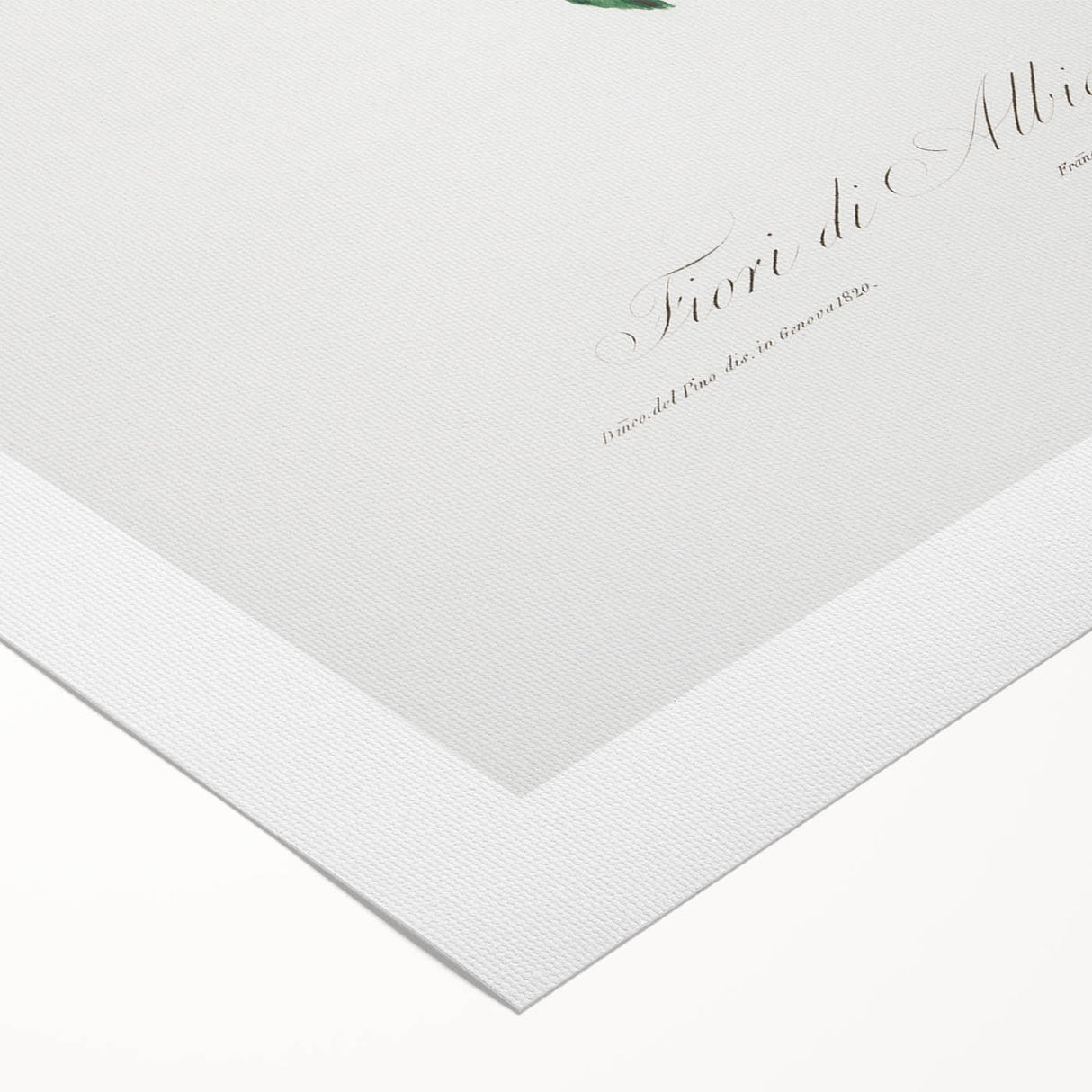 Romanticism Art: Apricot Blossom by Giorgio Gallesio