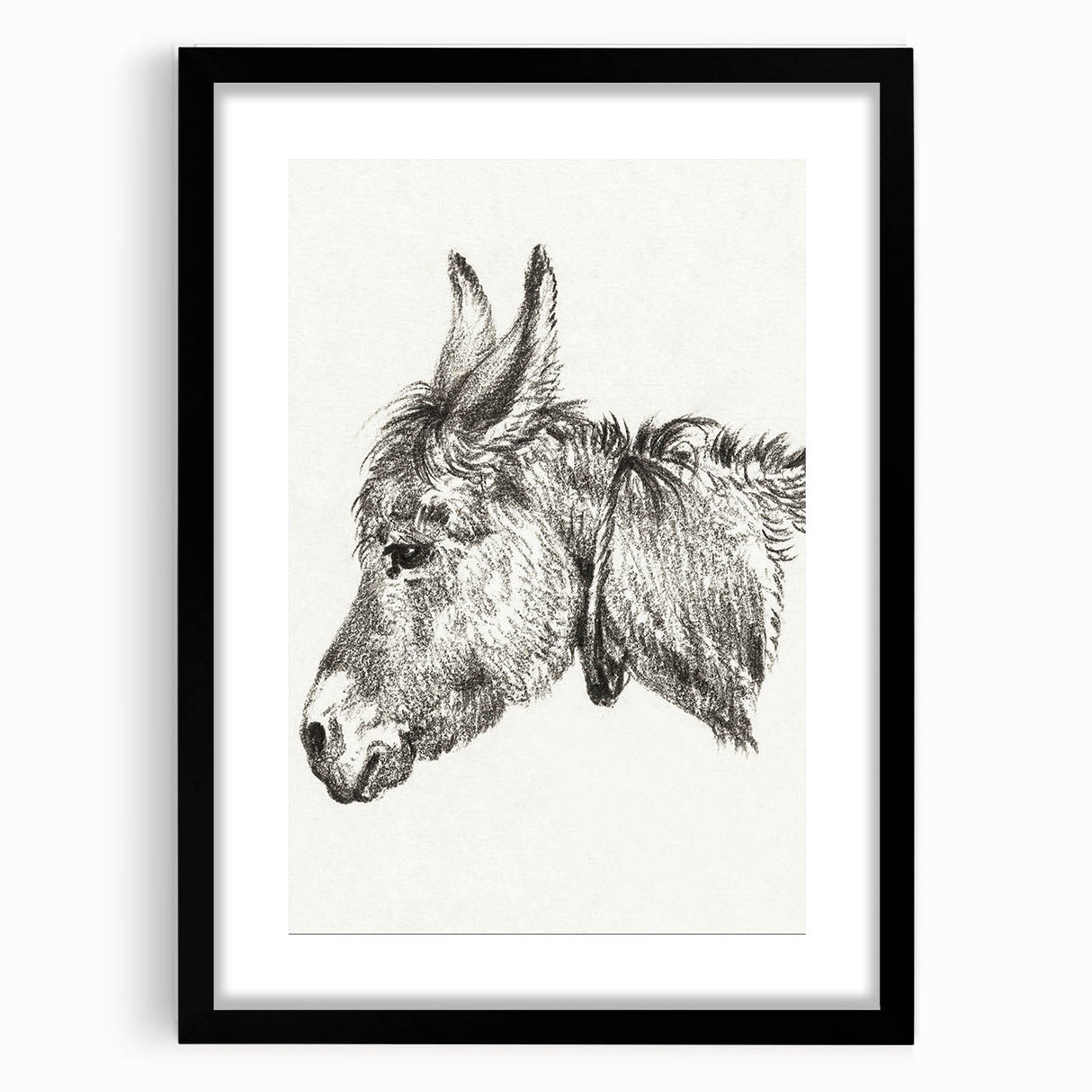 Romanticism Art: Head of a Donkey by Jean-Bernard