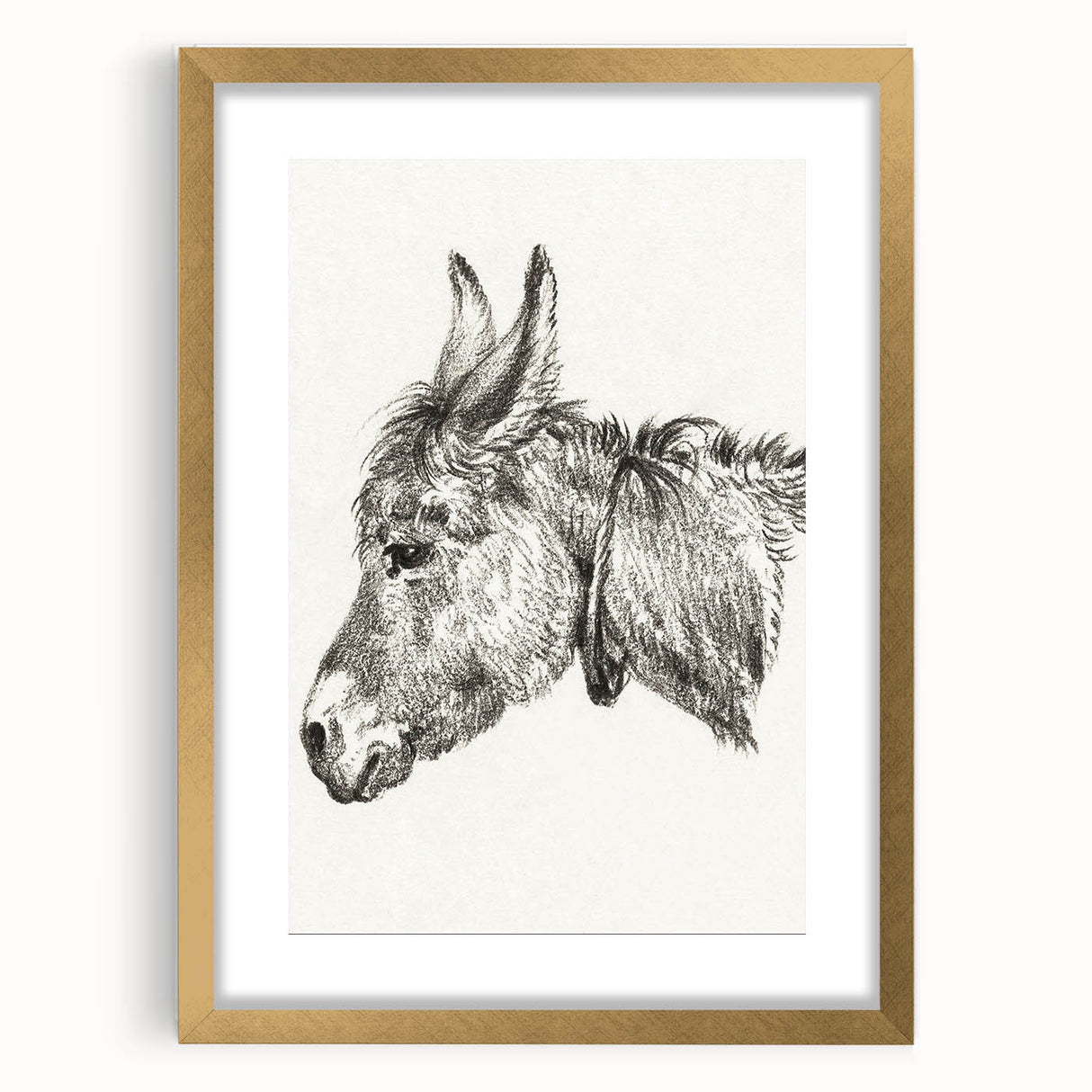 Romanticism Art: Head of a Donkey by Jean-Bernard