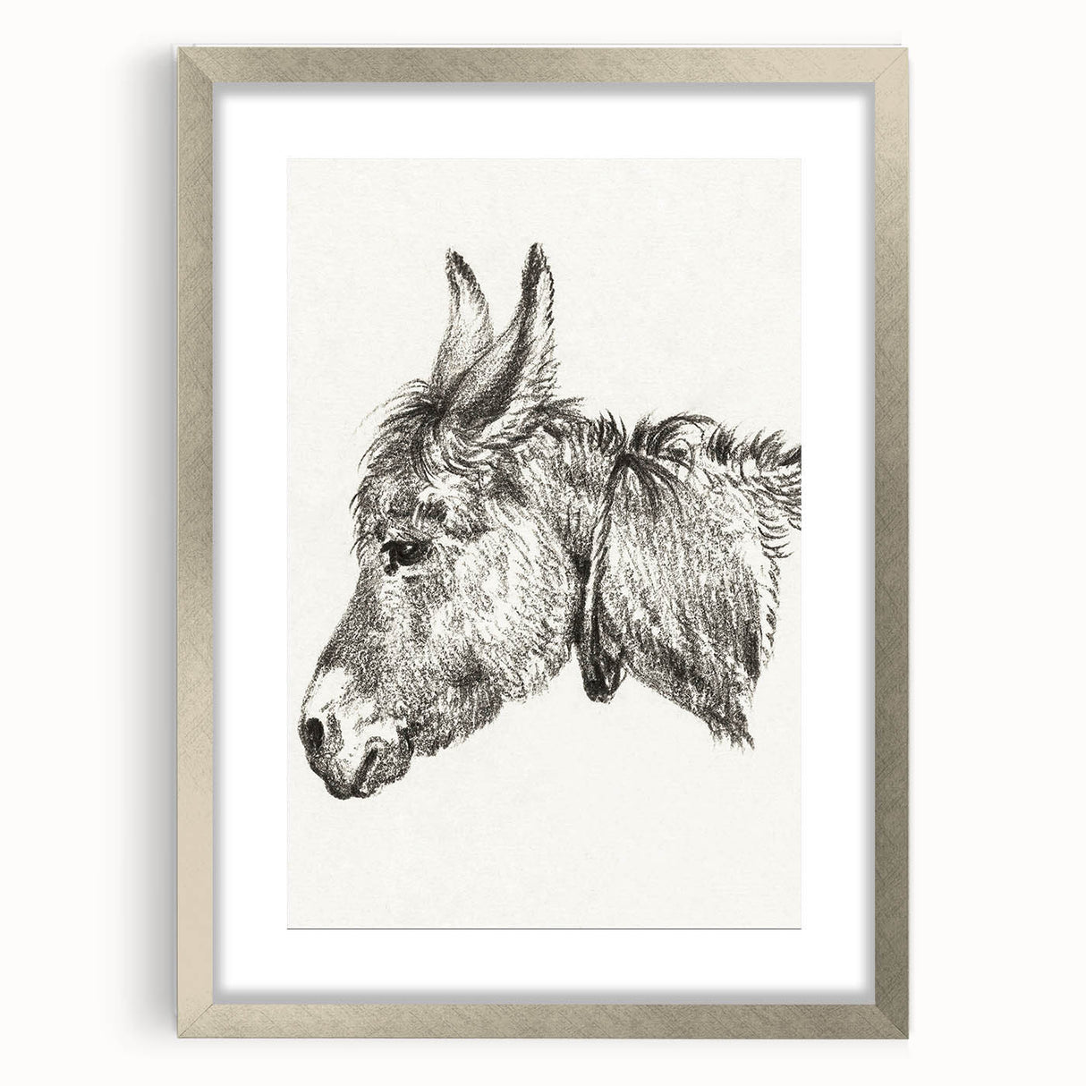 Romanticism Art: Head of a Donkey by Jean-Bernard