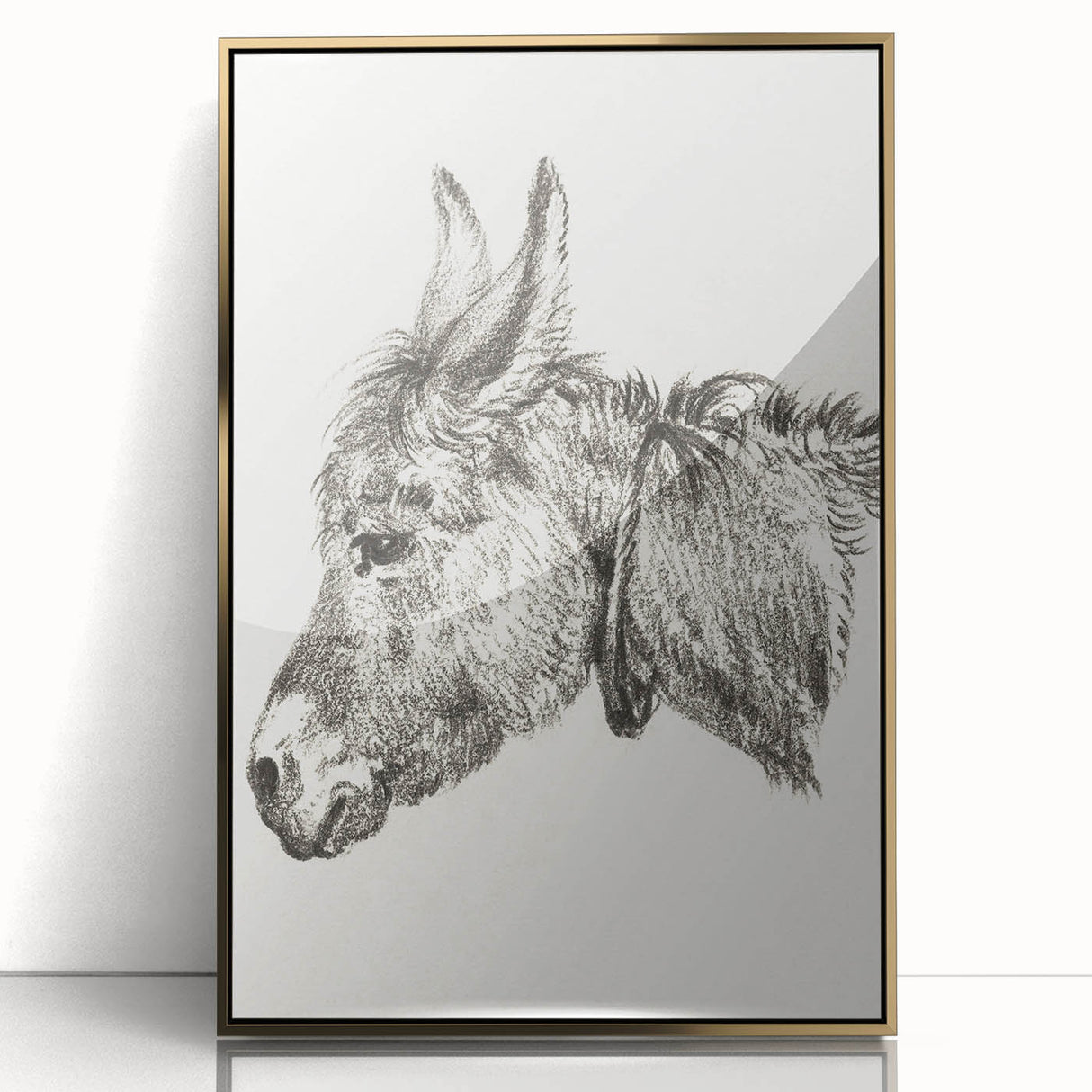 Romanticism Art: Head of a Donkey by Jean-Bernard