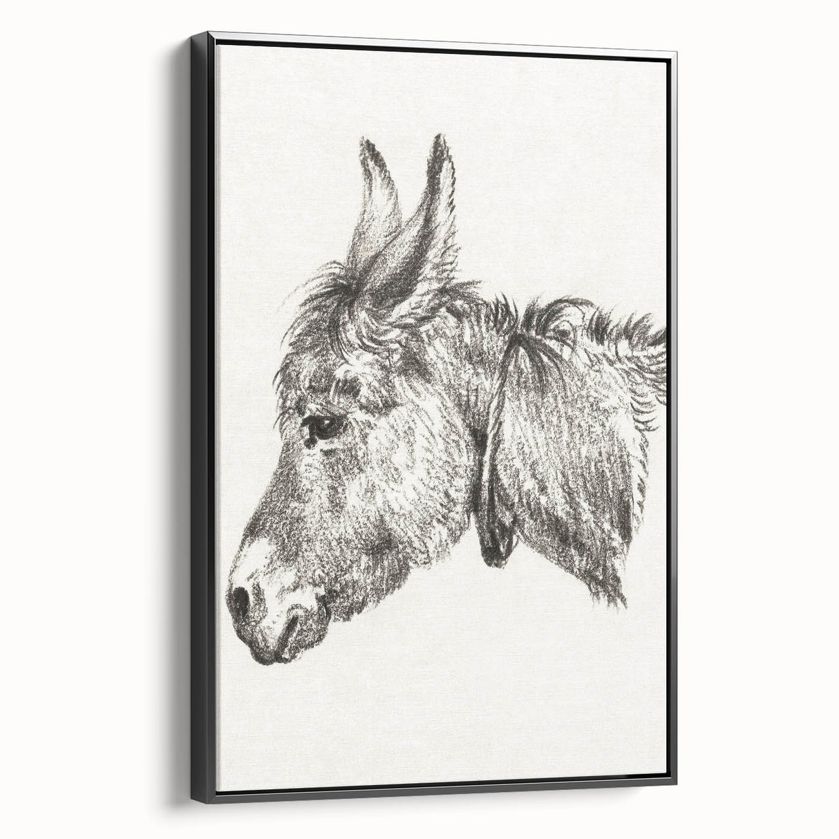 Romanticism Art: Head of a Donkey by Jean-Bernard