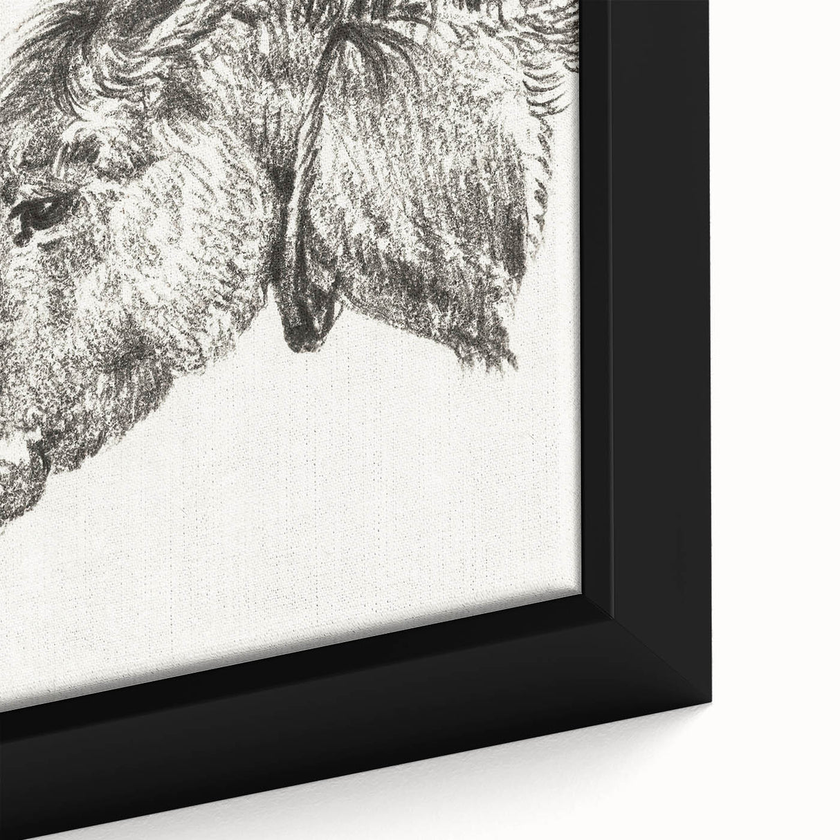 Romanticism Art: Head of a Donkey by Jean-Bernard