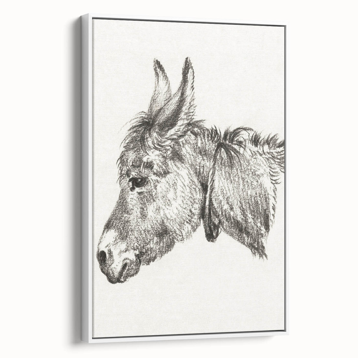 Romanticism Art: Head of a Donkey by Jean-Bernard