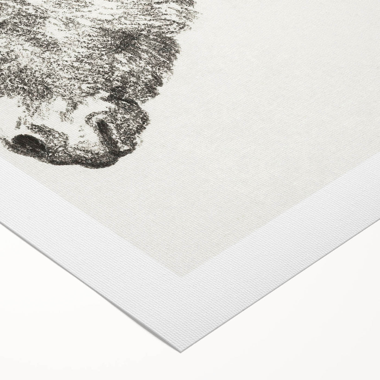 Romanticism Art: Head of a Donkey by Jean-Bernard