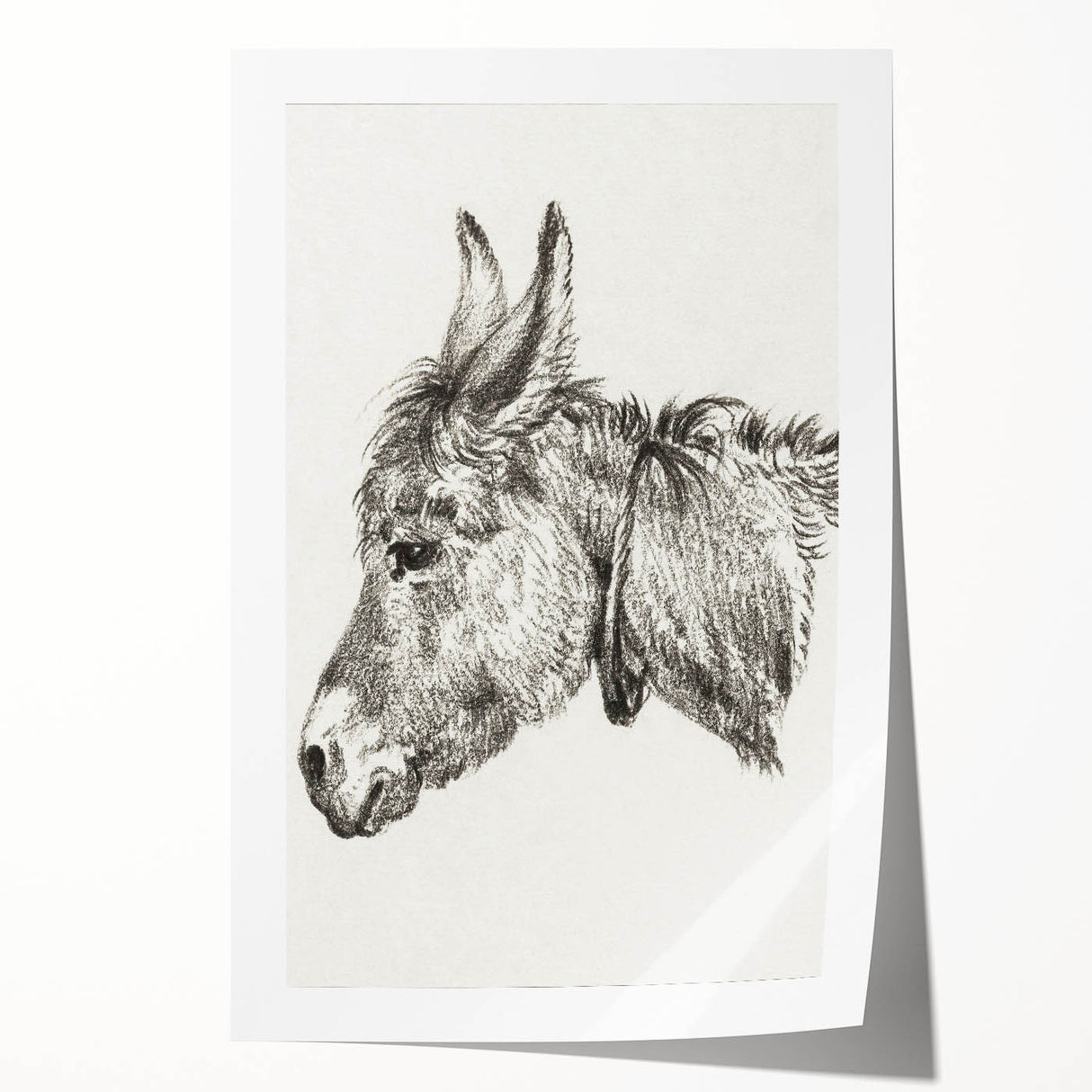 Romanticism Art: Head of a Donkey by Jean-Bernard