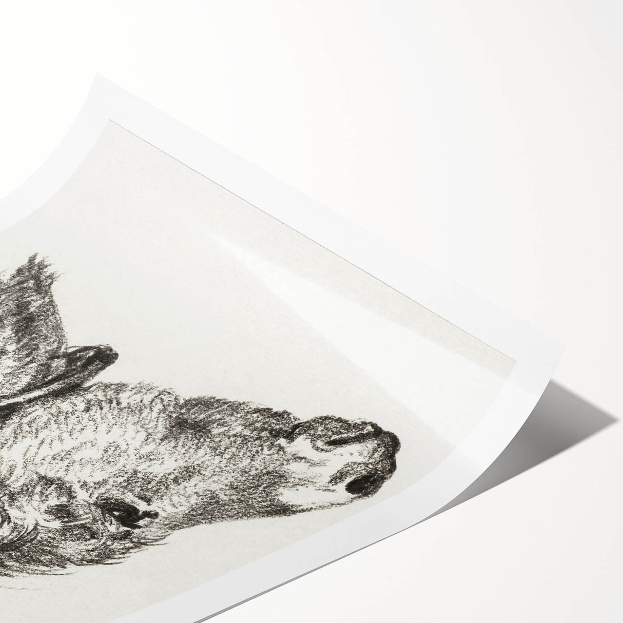 Romanticism Art: Head of a Donkey by Jean-Bernard