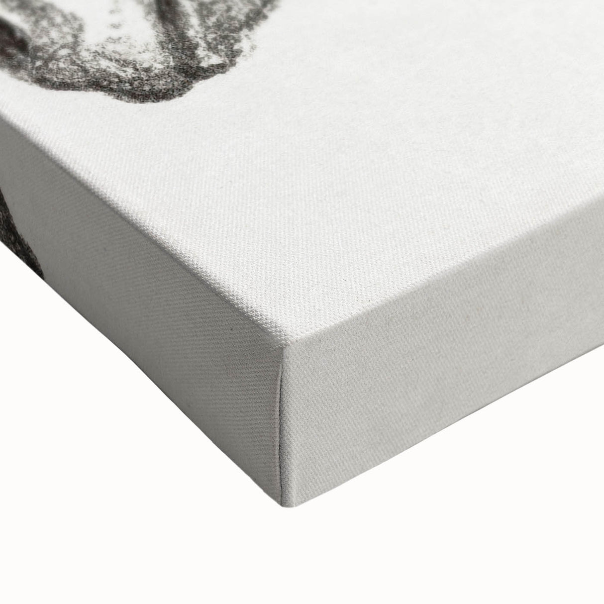 Romanticism Art: Head of a Donkey by Jean-Bernard