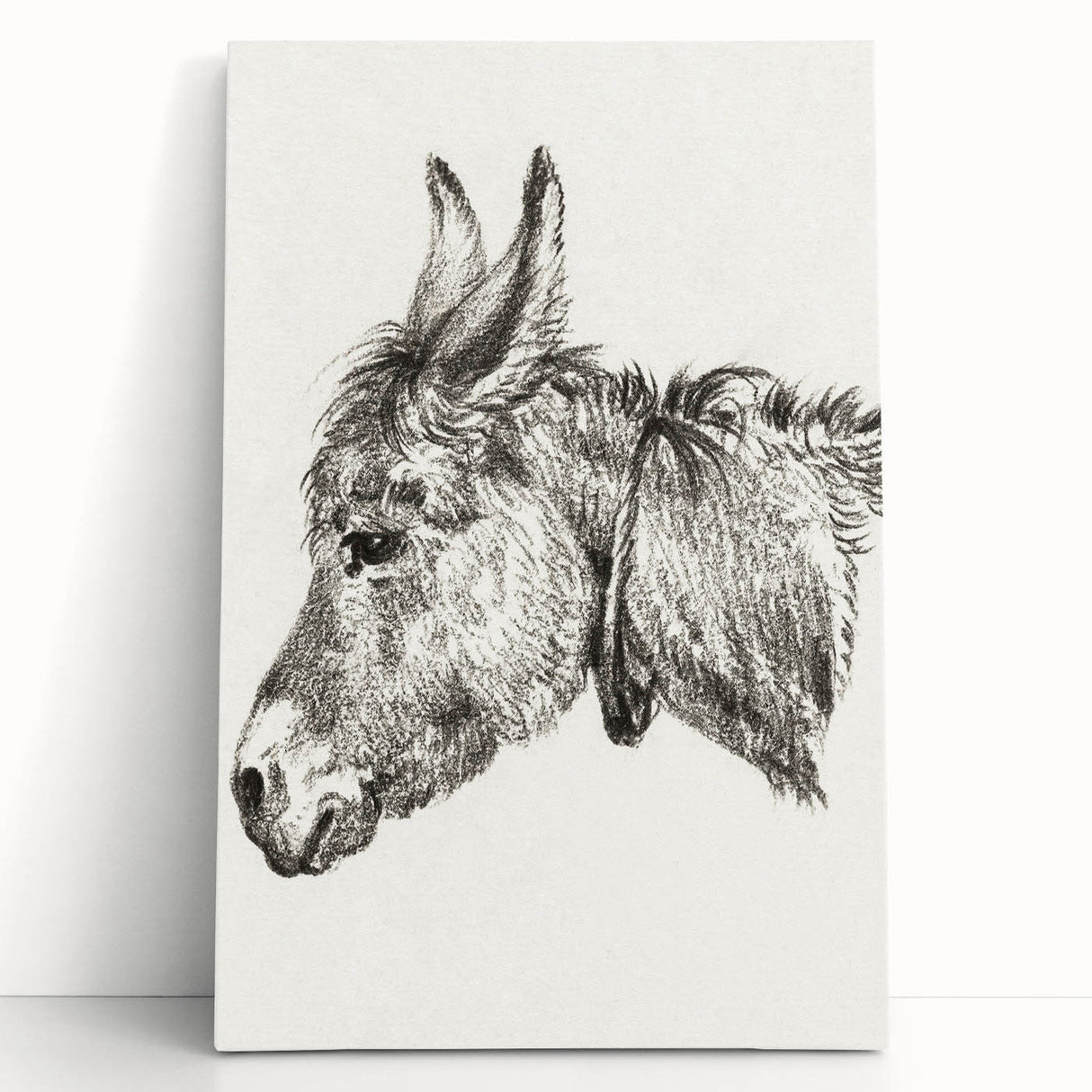 Romanticism Art: Head of a Donkey by Jean-Bernard