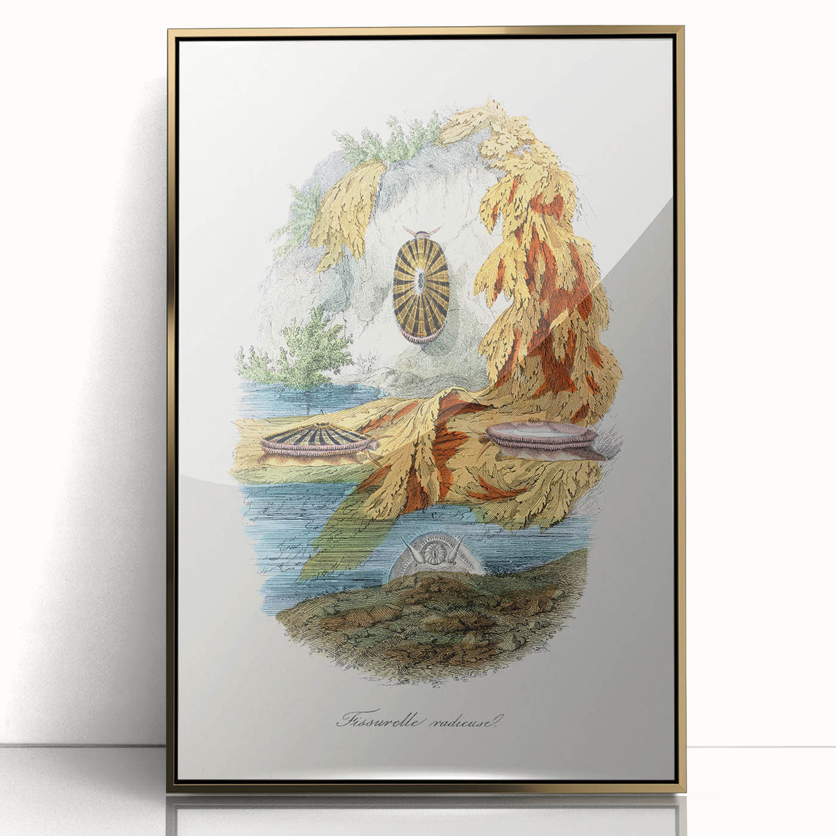 Romanticism Art: Volcano Limpet Snail Wall Art for Home Decor