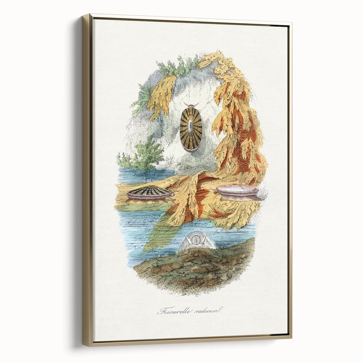 Romanticism Art: Volcano Limpet Snail Wall Art for Home Decor