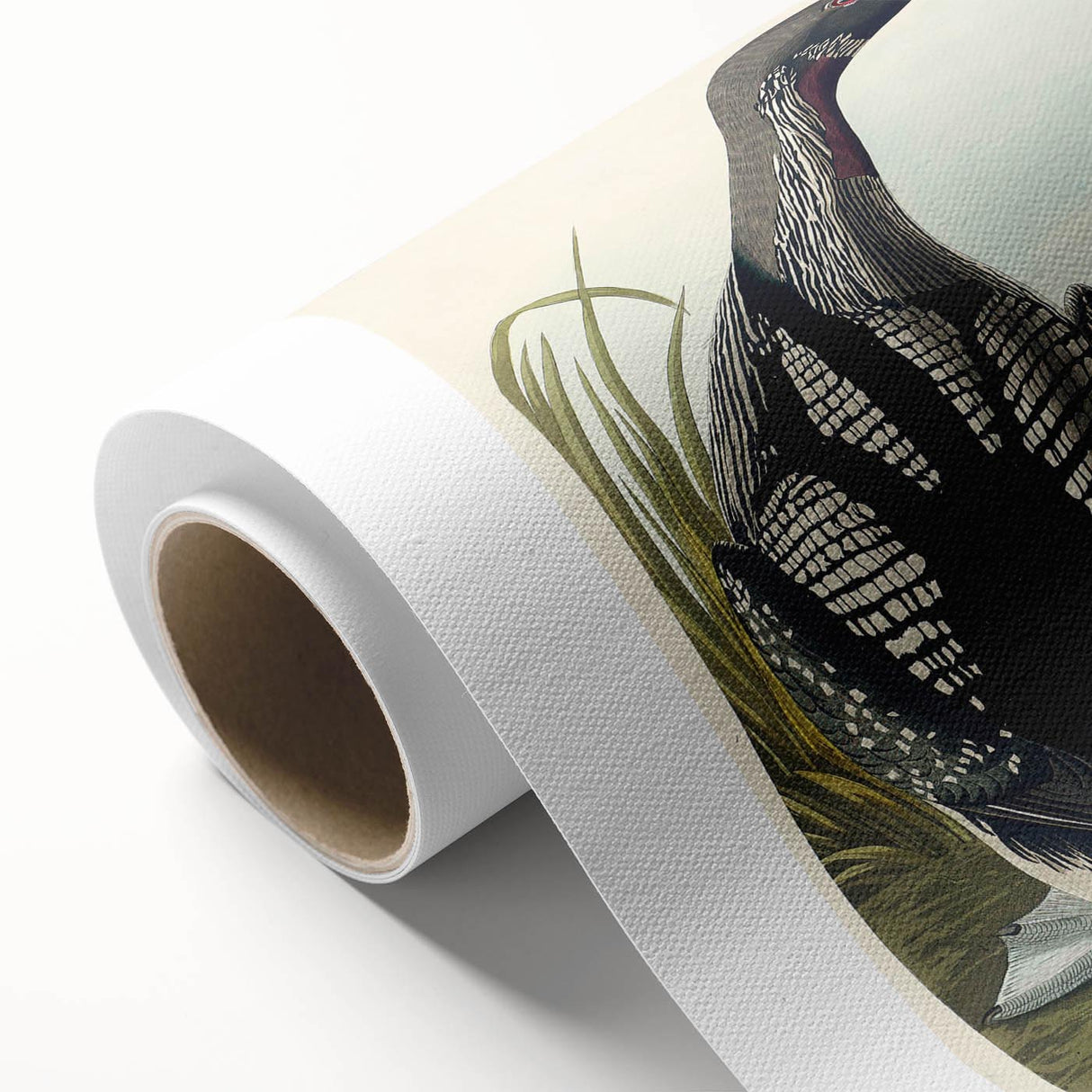 Romanticism Art: Black-Throated Diver Wall Art for Home