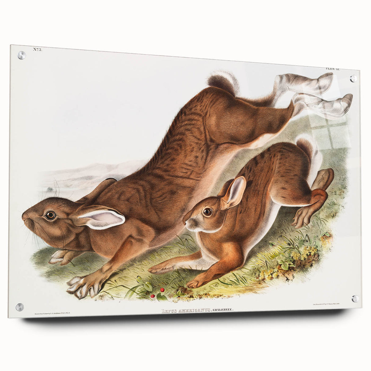 Romanticism Art: Northern Hares - Classic Romantic Wildlife Canvas