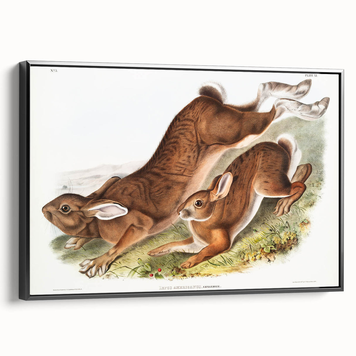 Romanticism Art: Northern Hares - Classic Romantic Wildlife Canvas