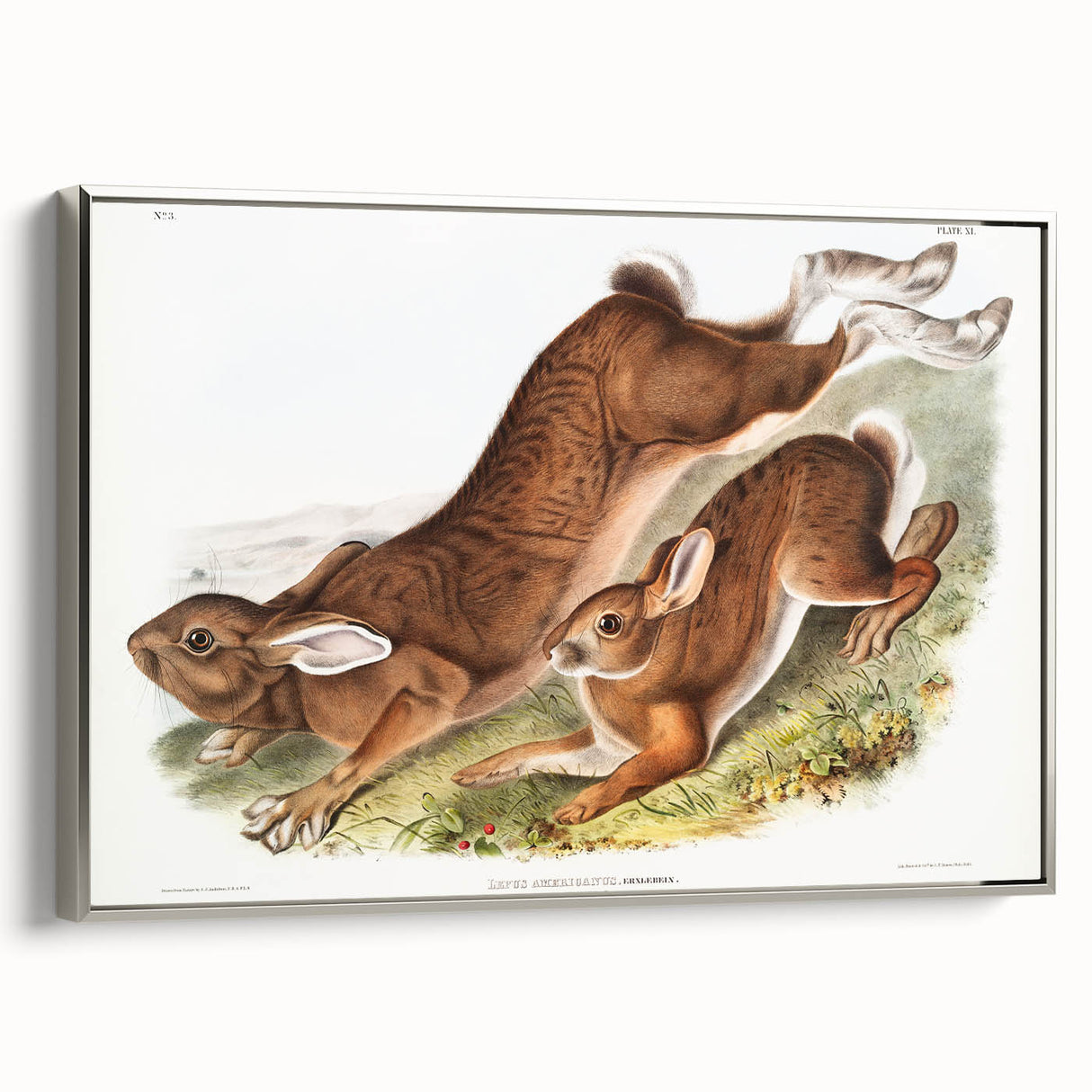 Romanticism Art: Northern Hares - Classic Romantic Wildlife Canvas