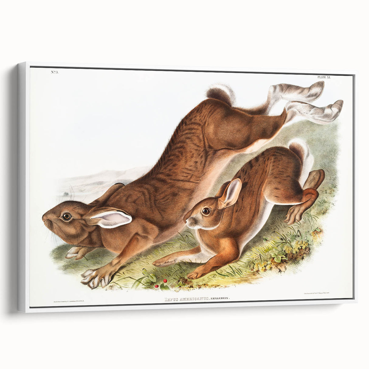 Romanticism Art: Northern Hares - Classic Romantic Wildlife Canvas