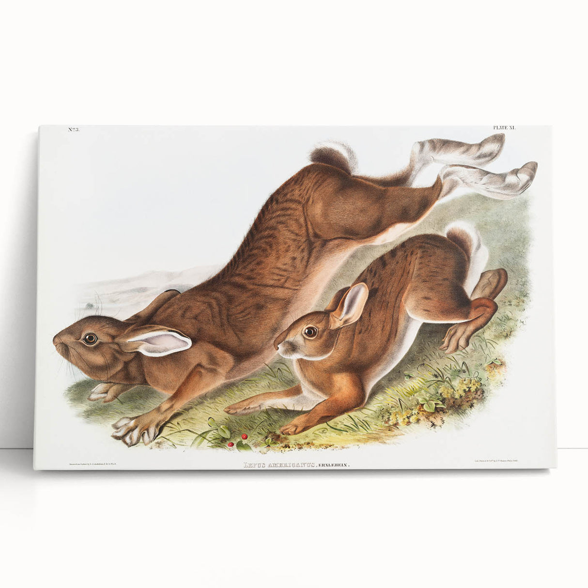 Romanticism Art: Northern Hares - Classic Romantic Wildlife Canvas
