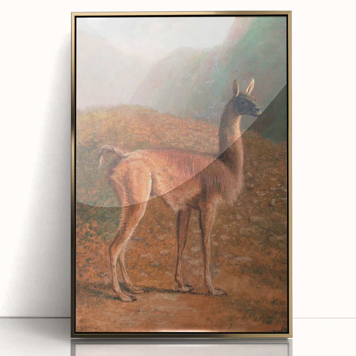 Romanticism Art: Guanaco by Agasse - Classic Wildlife Canvas Print