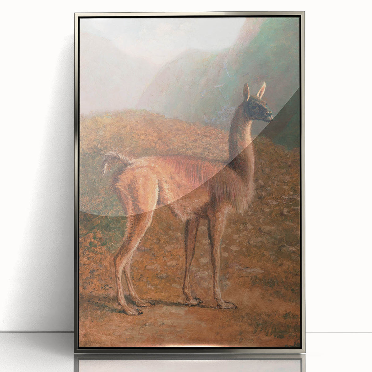 Romanticism Art: Guanaco by Agasse - Classic Wildlife Canvas Print