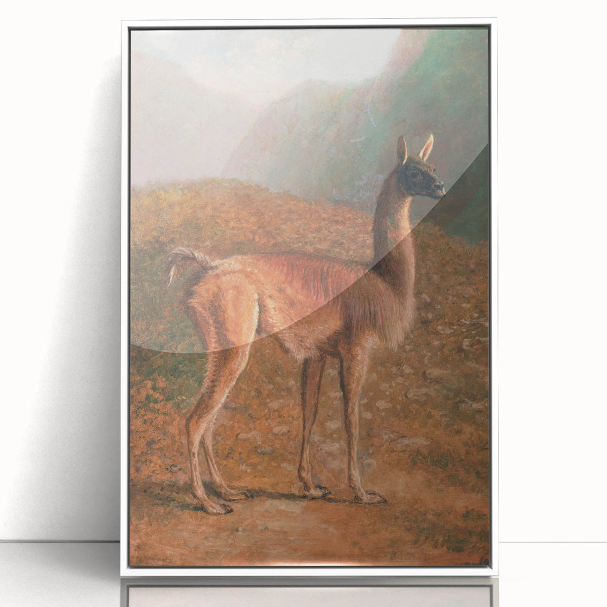 Romanticism Art: Guanaco by Agasse - Classic Wildlife Canvas Print