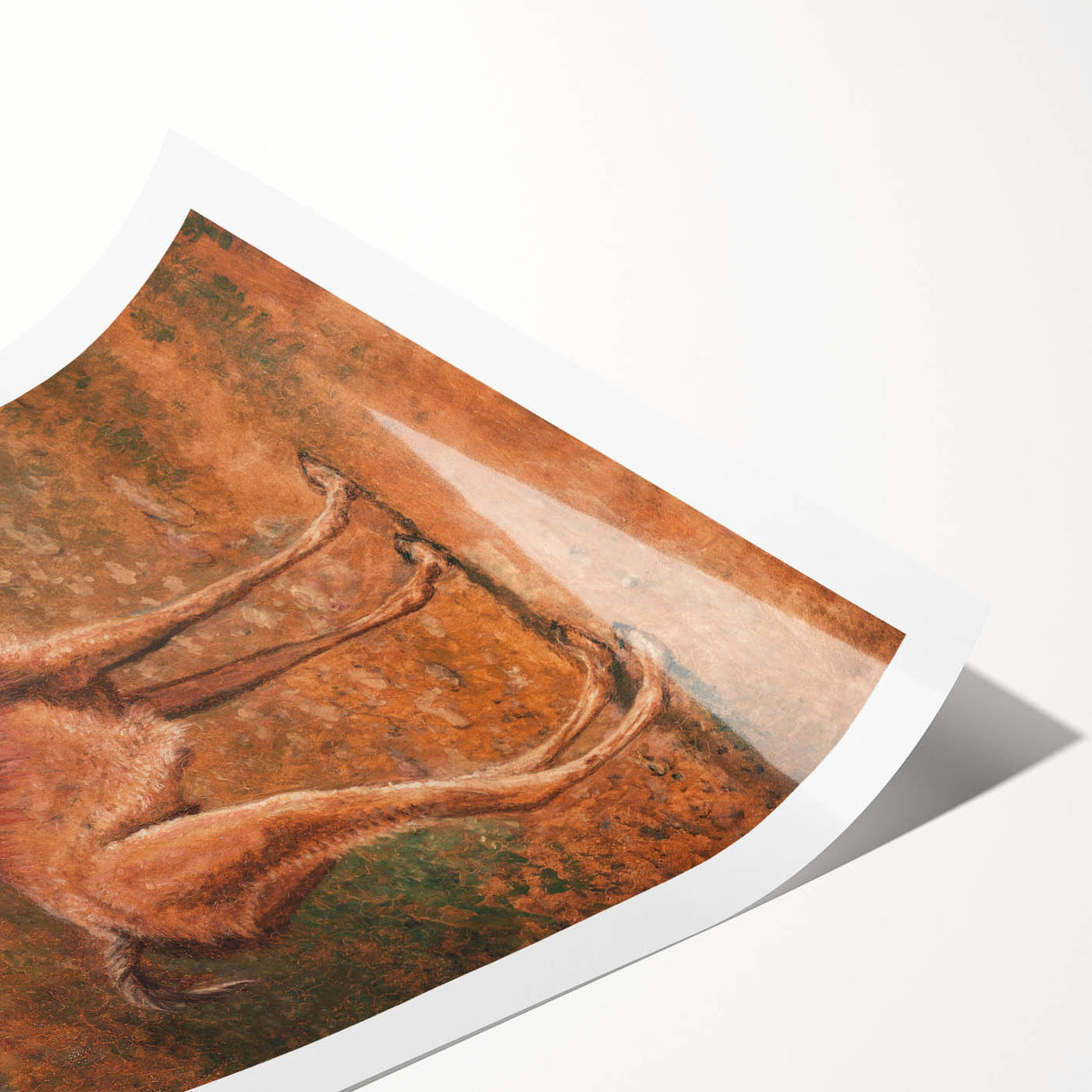 Romanticism Art: Guanaco by Agasse - Classic Wildlife Canvas Print