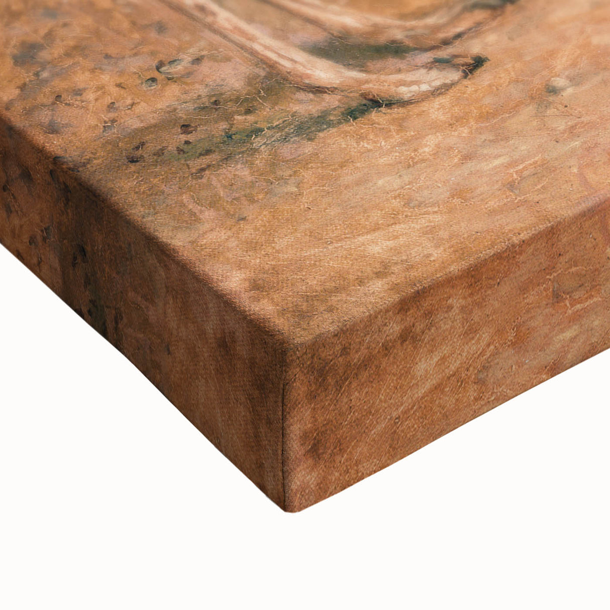 Romanticism Art: Guanaco by Agasse - Classic Wildlife Canvas Print