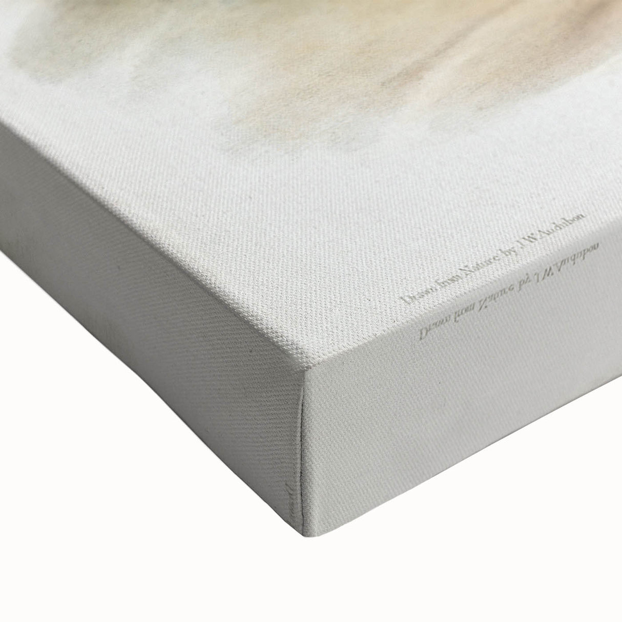 Romanticism Art: Hare Indian Dog by Audubon - Wildlife Canvas Print