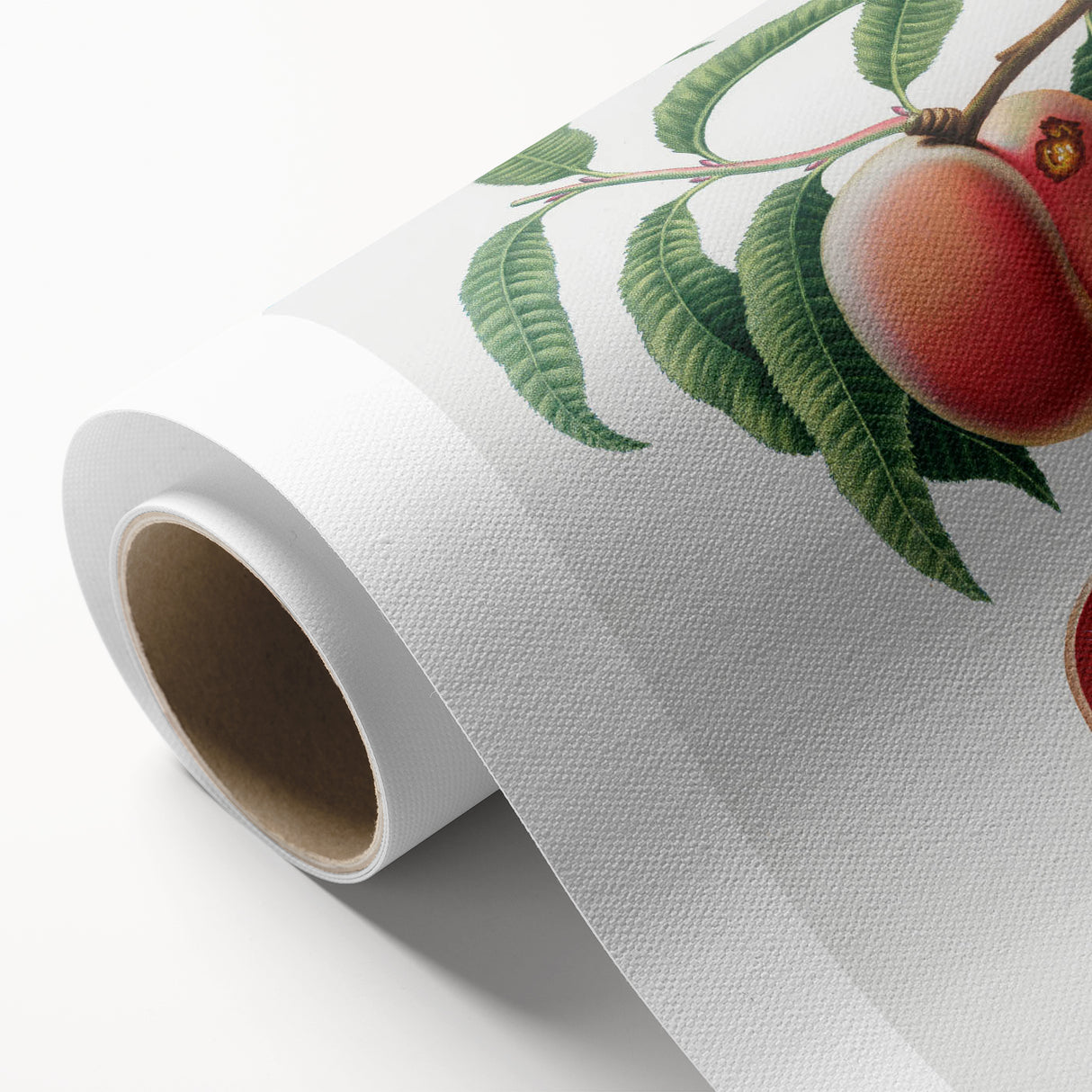 Romanticism Art: Carrot Peach by Gallesio - Botanical Canvas Print