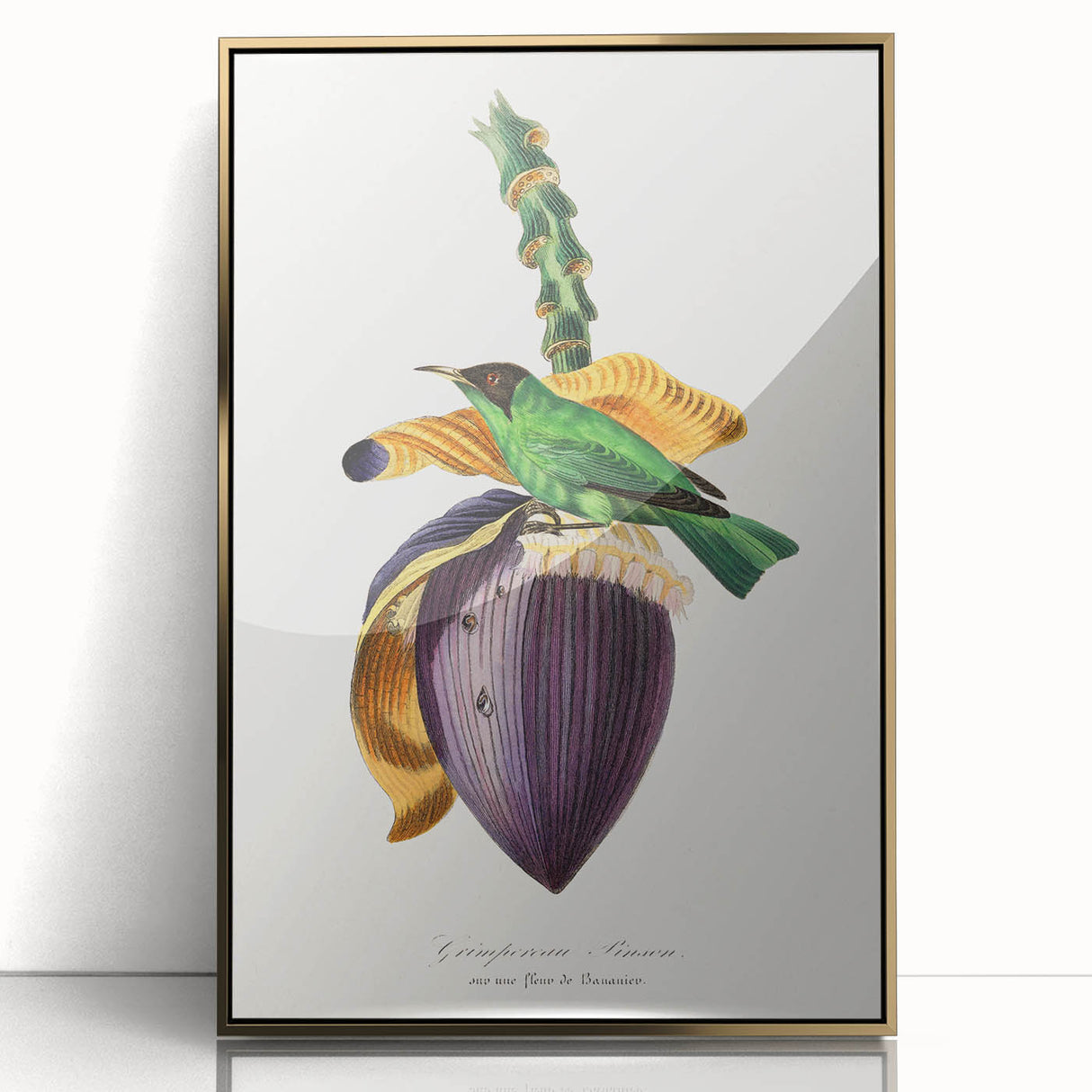 Romanticism Art: Treecreeper Bird by Paul Gervais - Classic Print