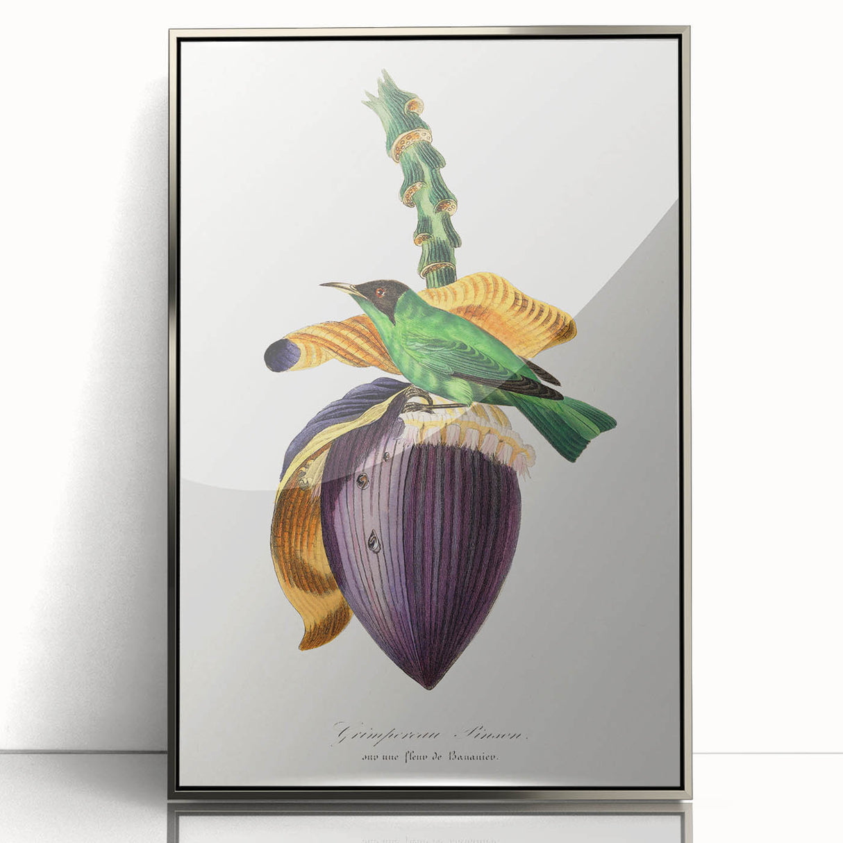 Romanticism Art: Treecreeper Bird by Paul Gervais - Classic Print