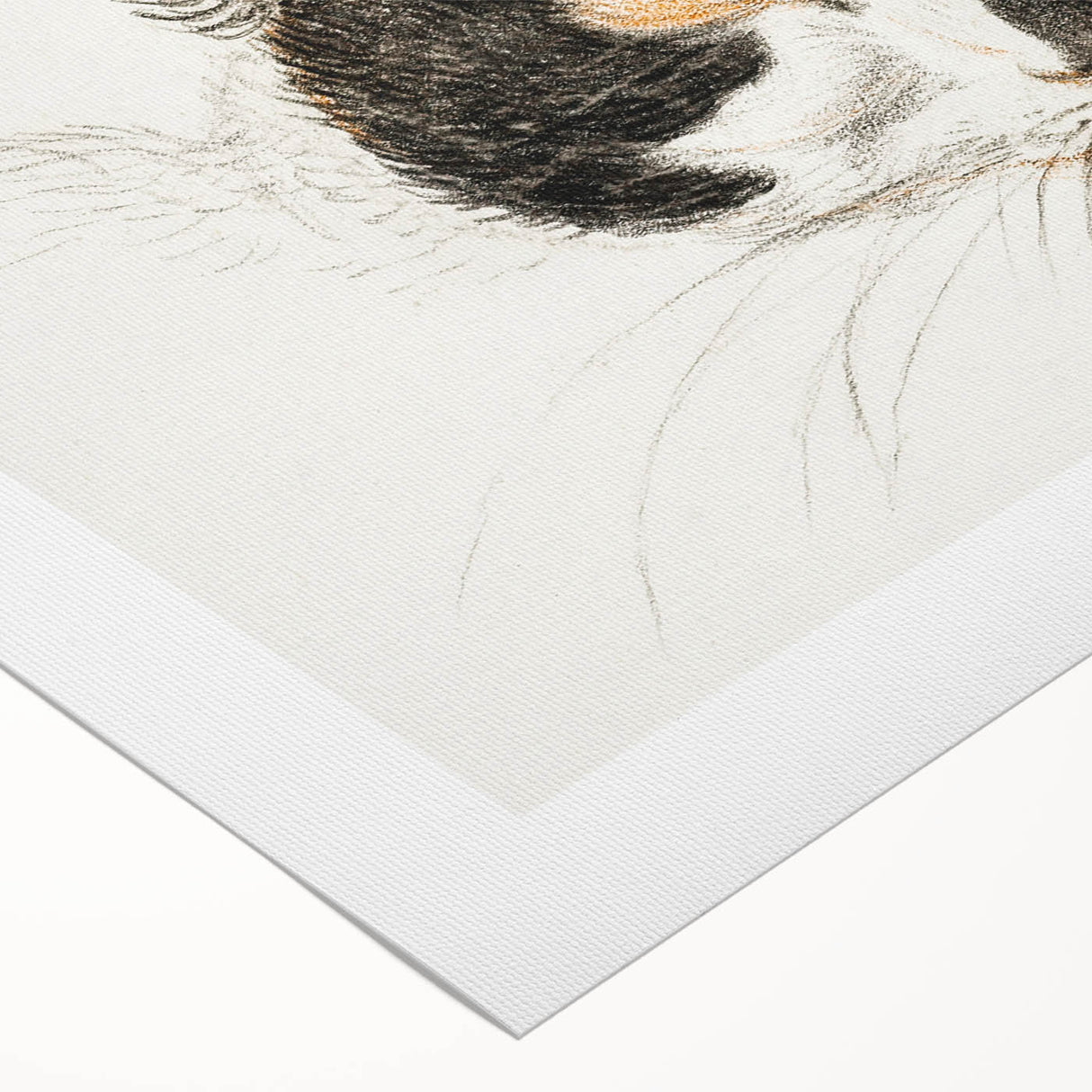 Romanticism Art: Calico Cat by Jean Bernard - Classic Animal Portrait