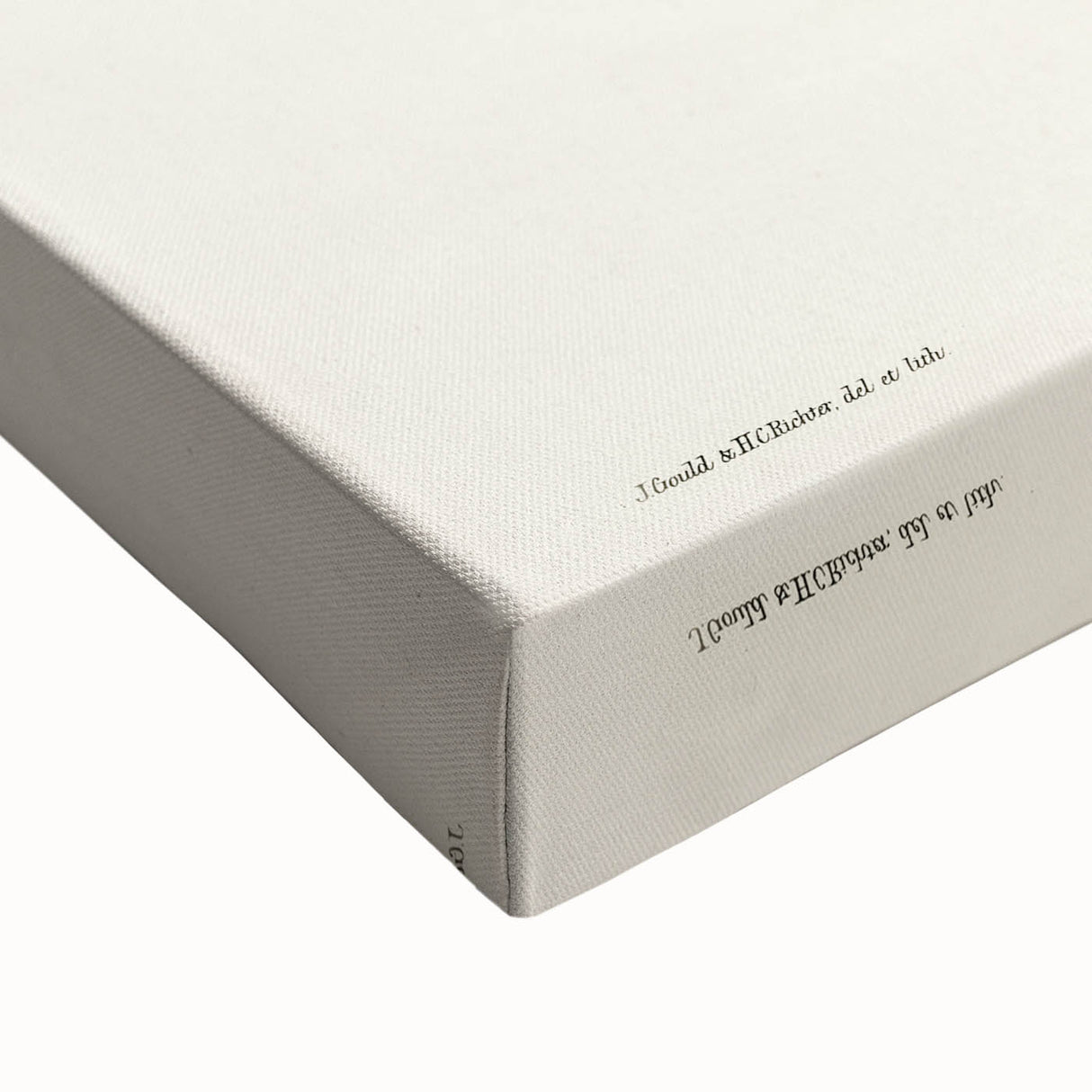 Romanticism Art: Cassowary Illustration by Elizabeth Gould - Exotic Print