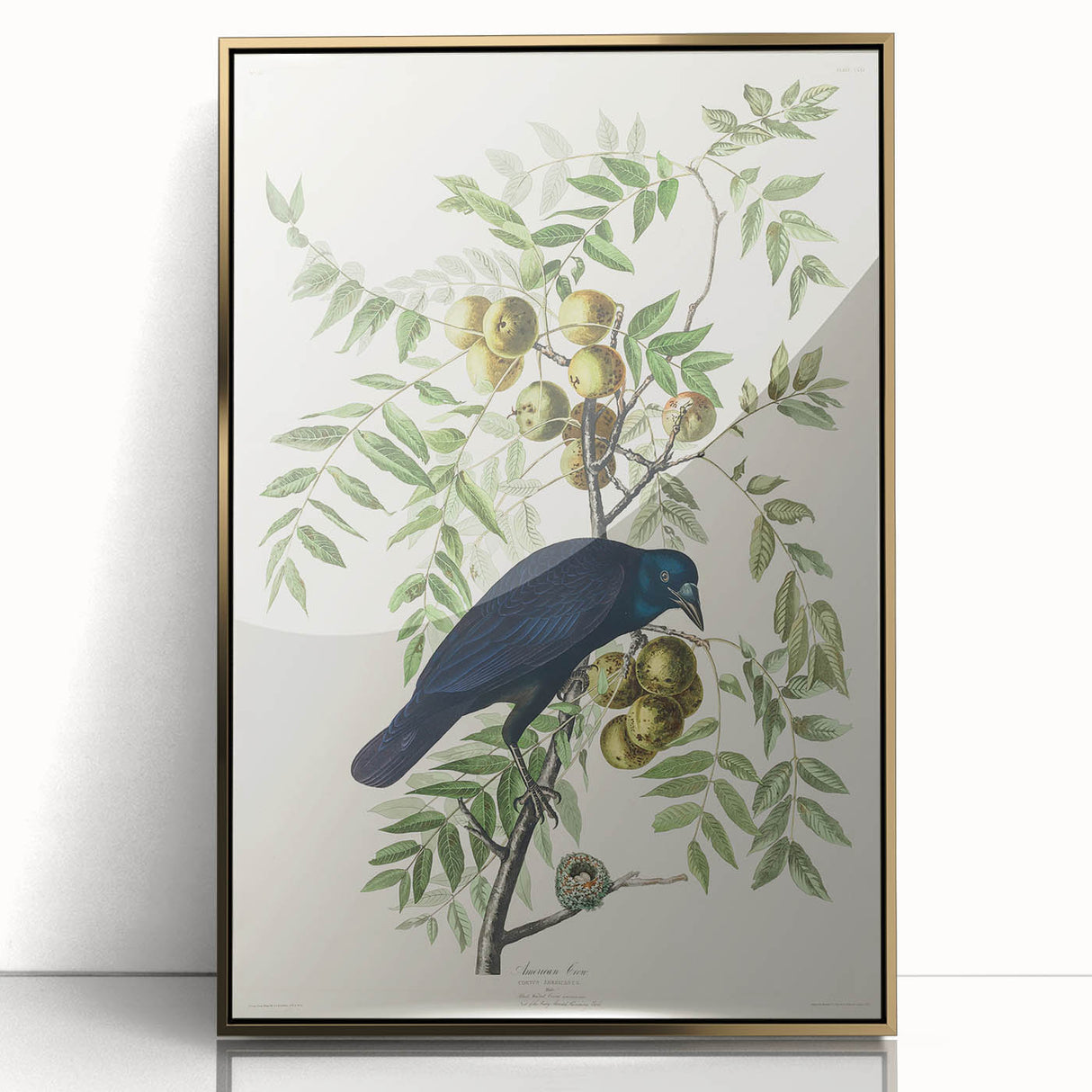 Romanticism Art: American Crow by Audubon - Nature-Inspired Print