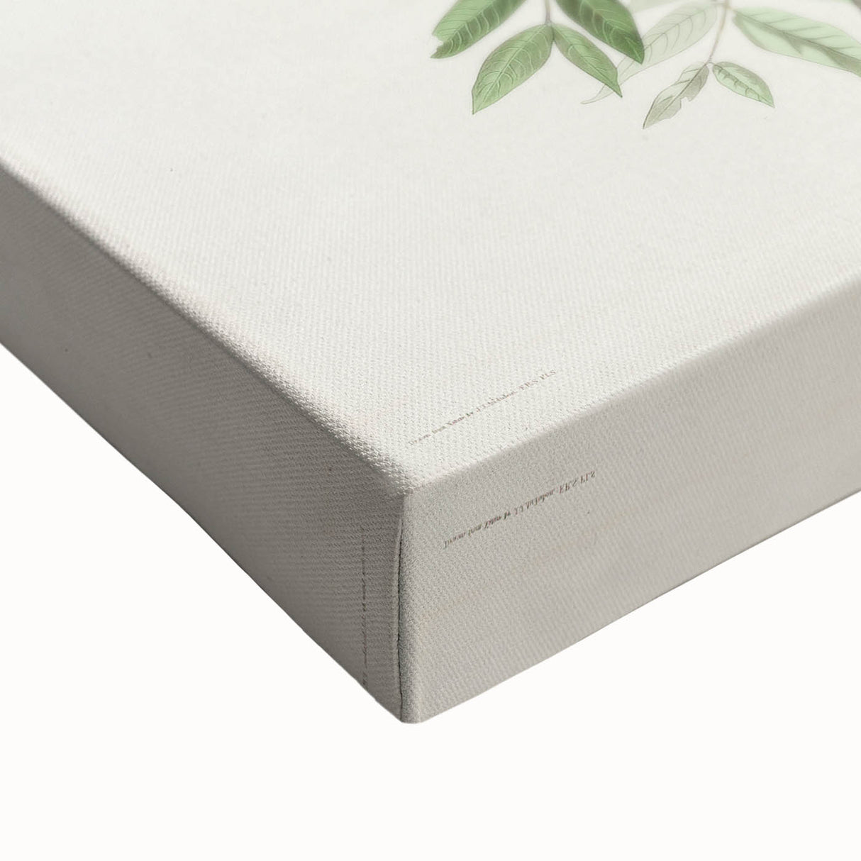 Romanticism Art: American Crow by Audubon - Nature-Inspired Print