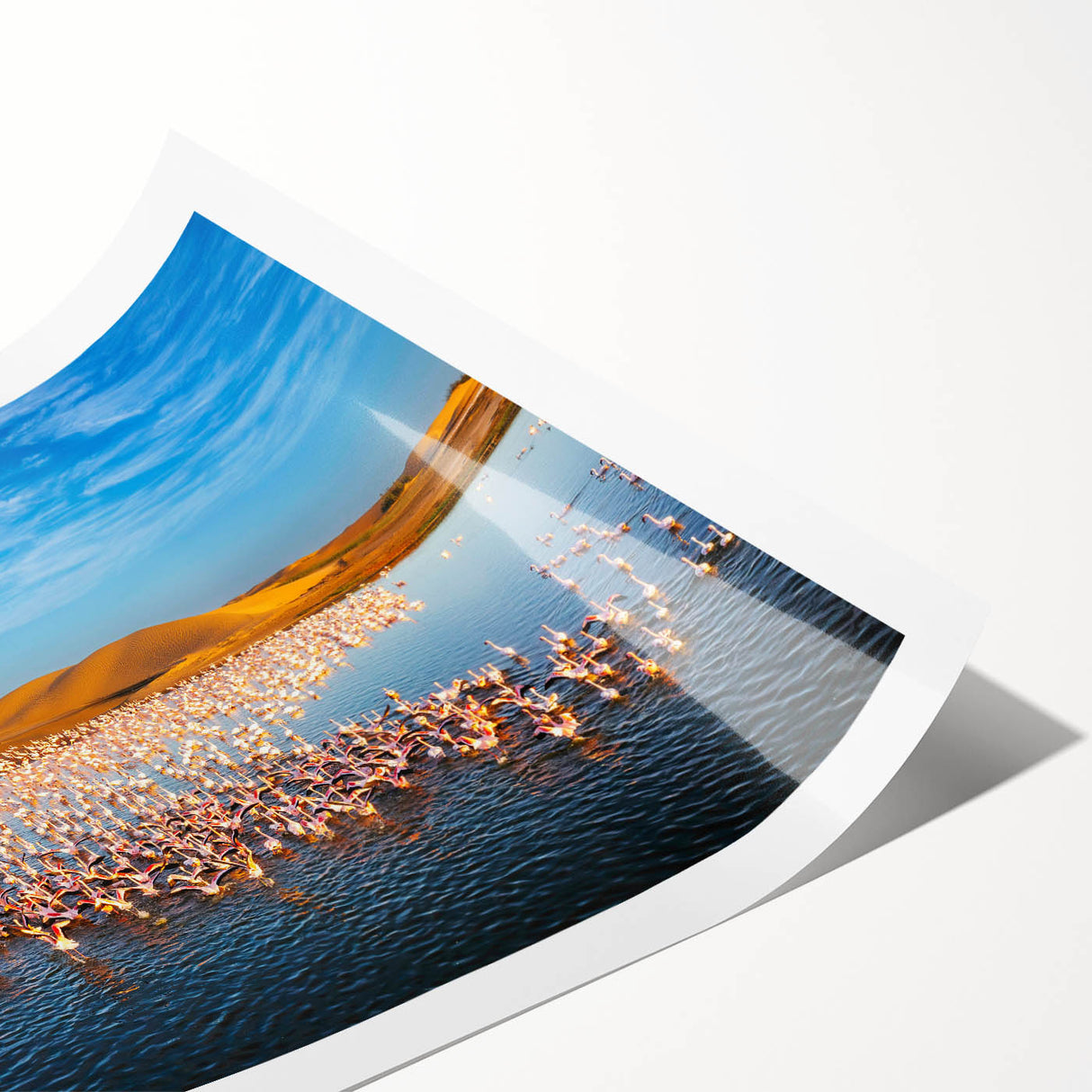 Extra large wall art featuring line art flowers on a rolled print, ideal for large living room decor.