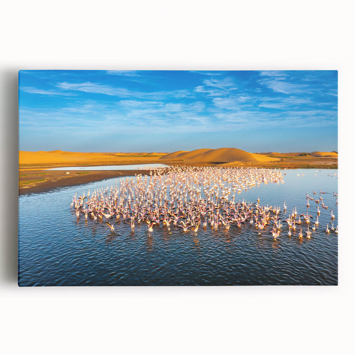 Black and white photograph of a Namibian landscape on large stretched canvas, suitable for kitchen art.