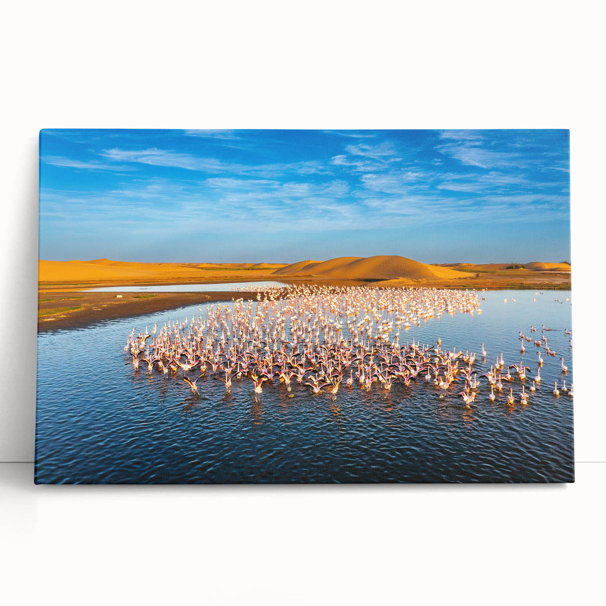 Black and white stretched canvas of a Namibian landscape, ideal for kitchen wall art or bedroom ambiance.