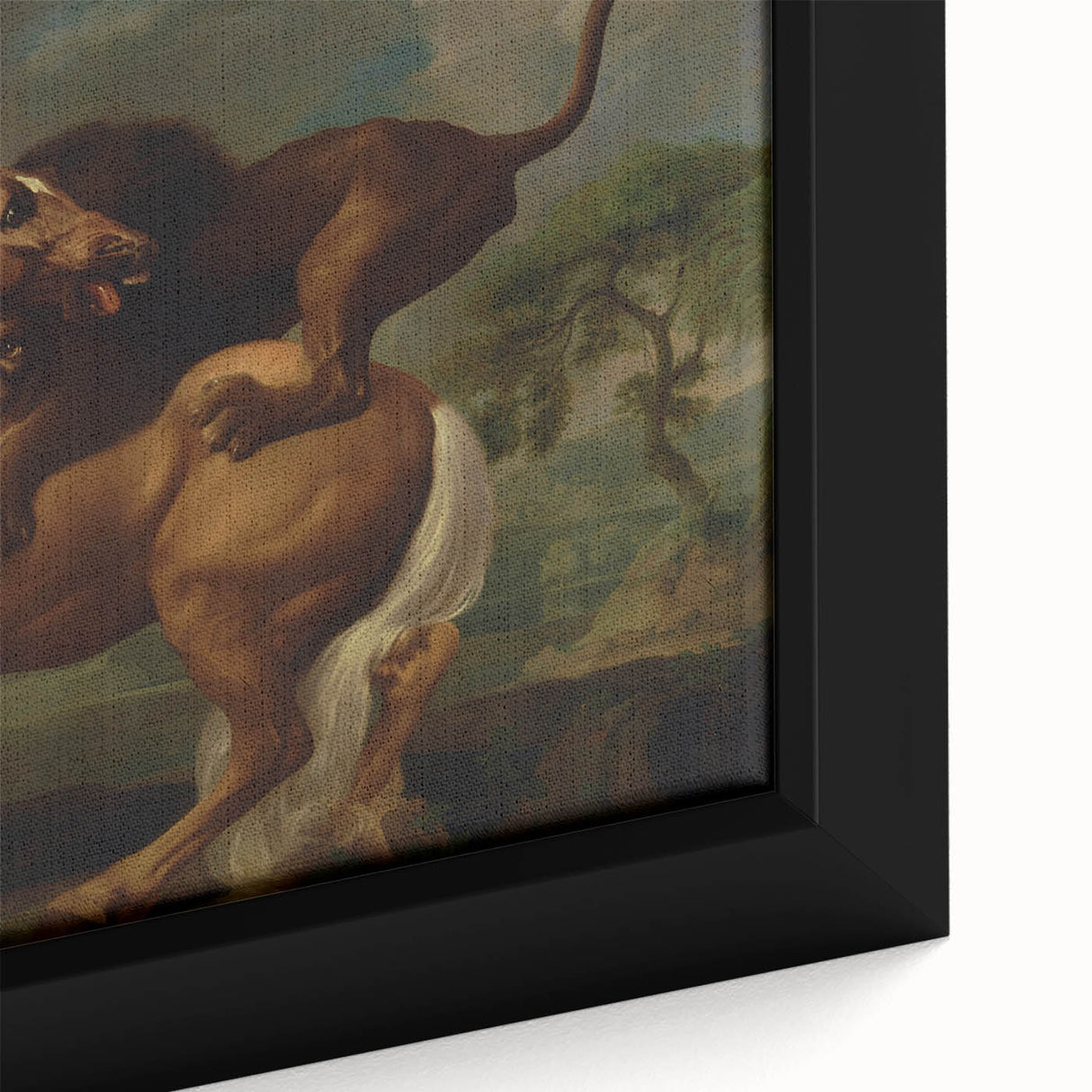Romanticism Art: Lion Attacking a Horse by Stubbs - Wildlife Canvas Print
