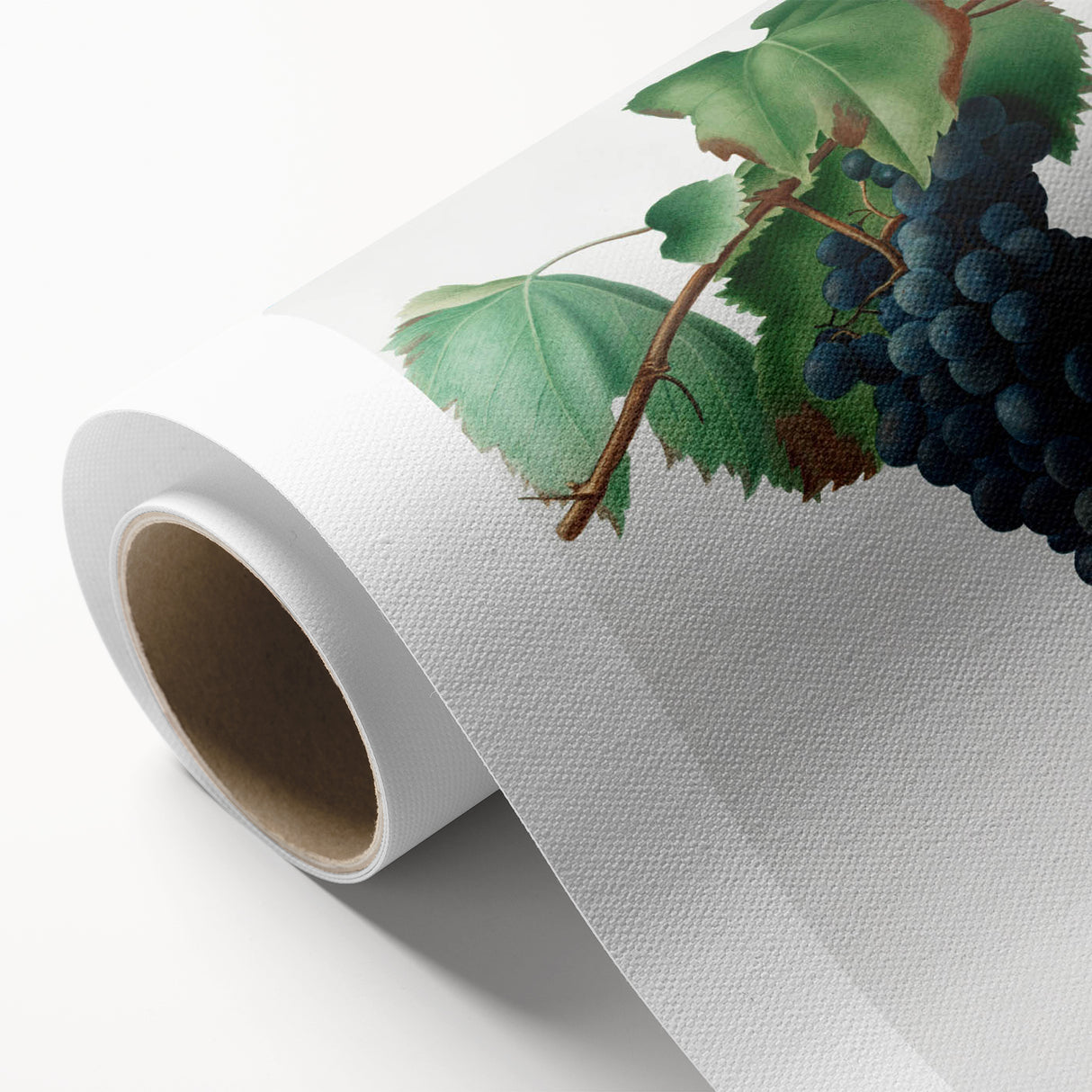 Romanticism Art: Grape Vine by Gallesio - Botanical Canvas Print