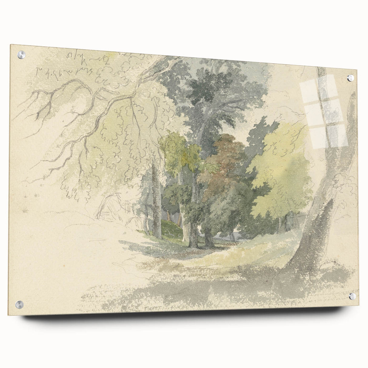 Classic Romantic Paintings: Peaceful Woodland Glade Illustration