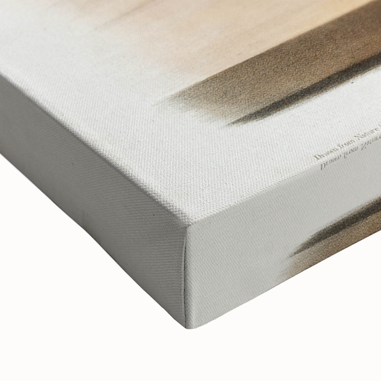 Romanticism Art: Mouse and Cheese Still Life by Audubon