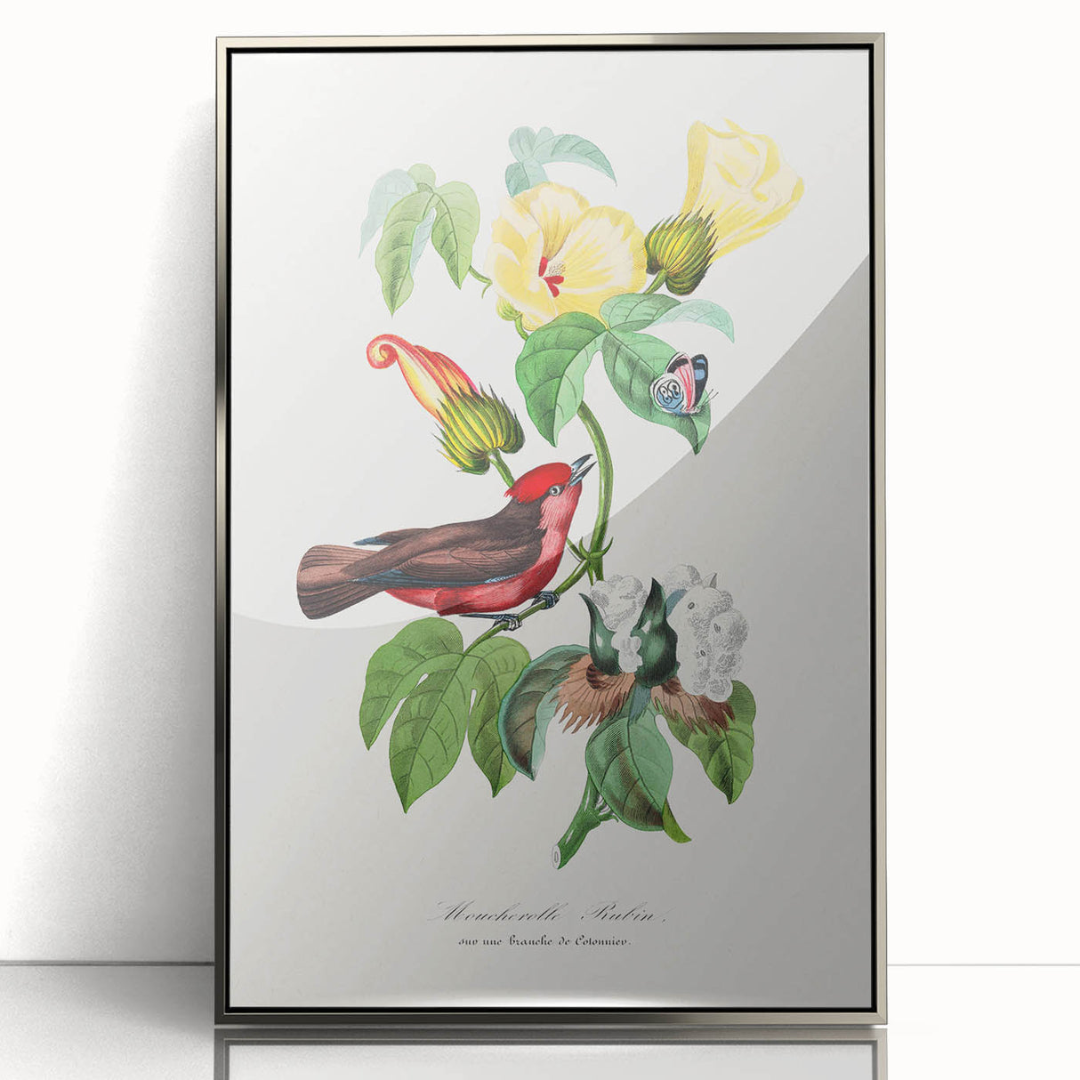 Romantic Art Prints: Vermilion Flycatcher and Botanical Study