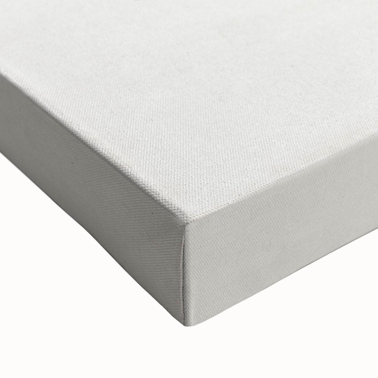 Romantic Art Prints: Broadleaf Lady Palm Botanical Illustration