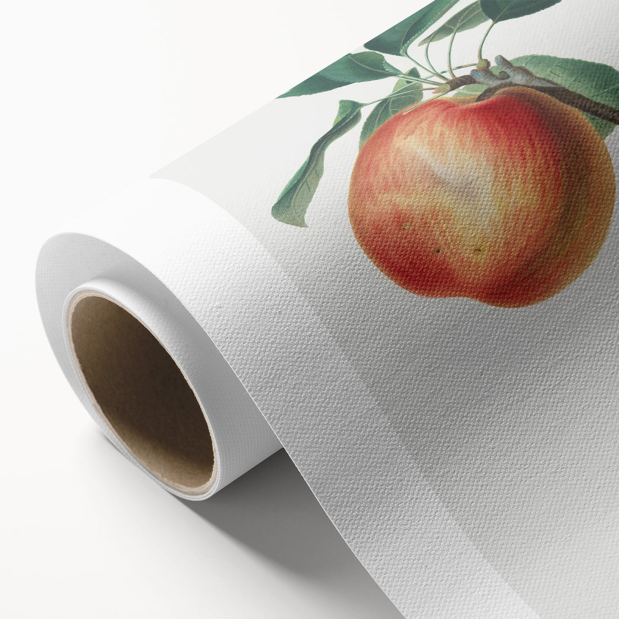 Romantic Art Prints: Apple Illustration from Pomona Italiana