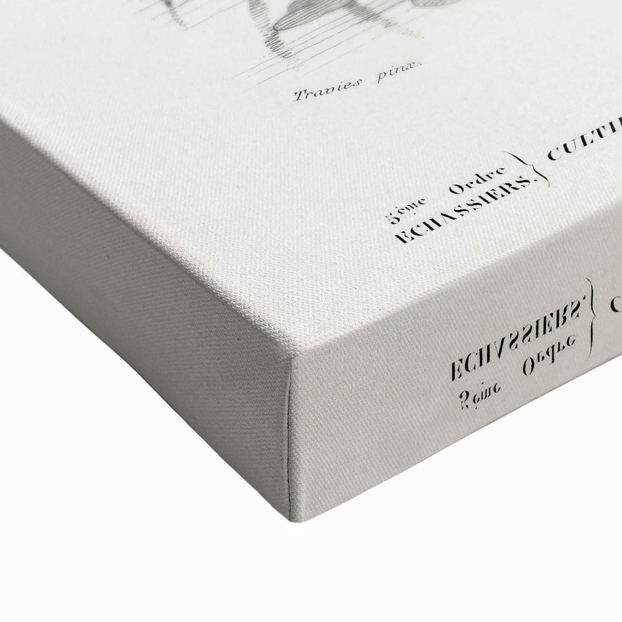 Romantic Art Prints: Purple Heron by Charles Dessalines d'Orbigny